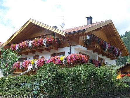 Appartements Alpengruss Innichen/San Candido 2 suedtirol.info