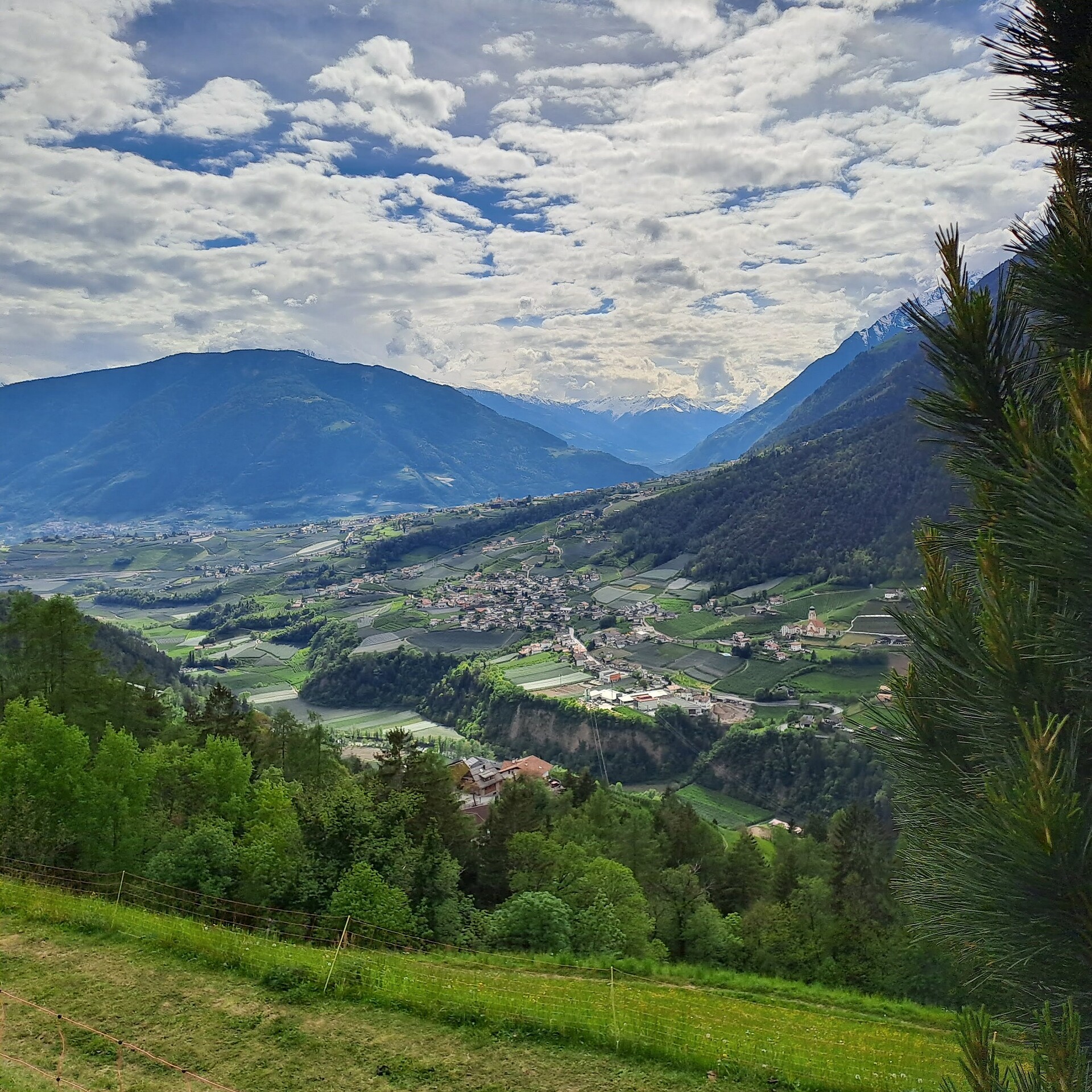 Appartementhaus Gasserhof - Meran und Umgebung - #7 - suedtirol.info