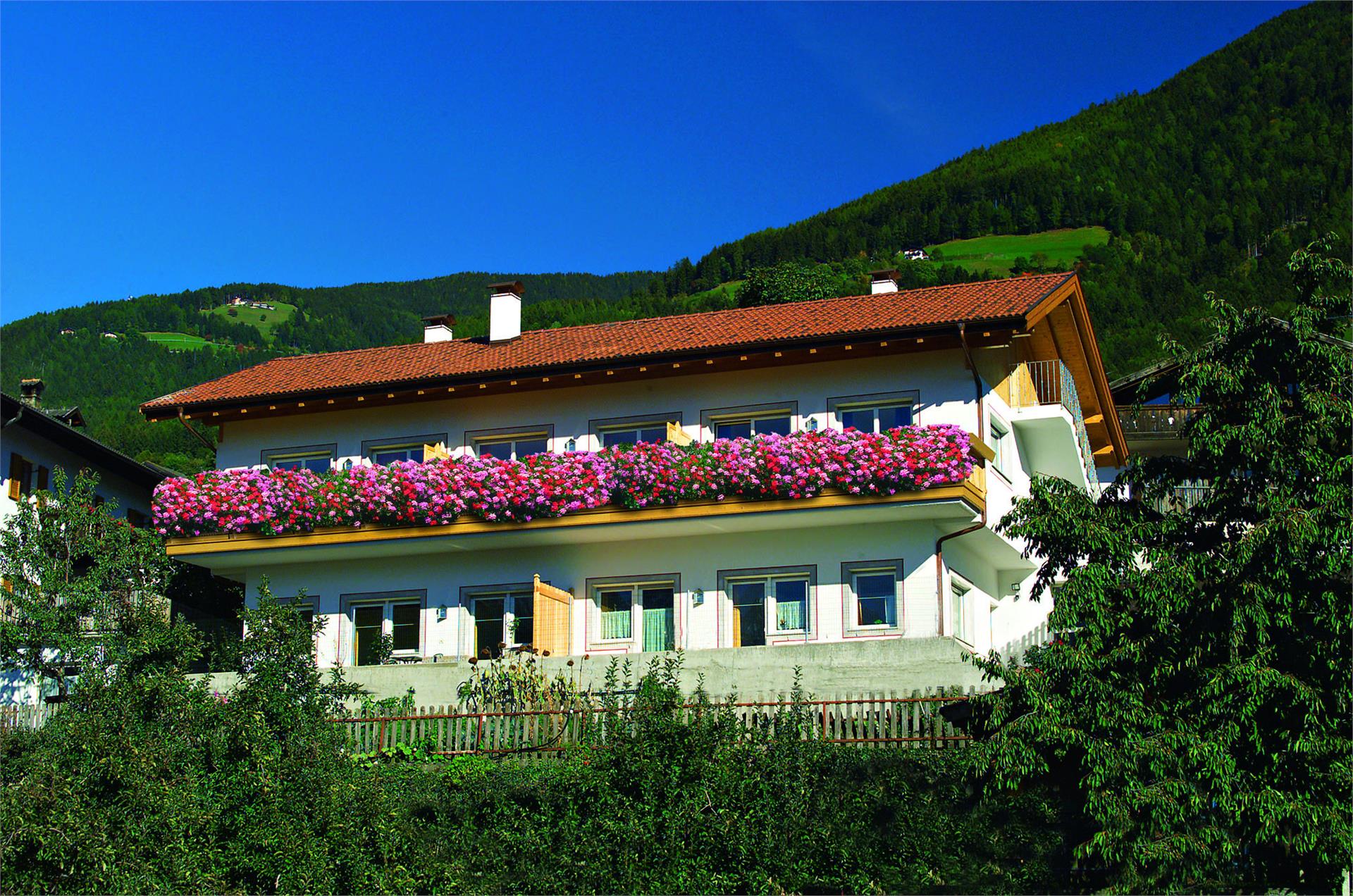 App. Kampflhof Scena 3 suedtirol.info