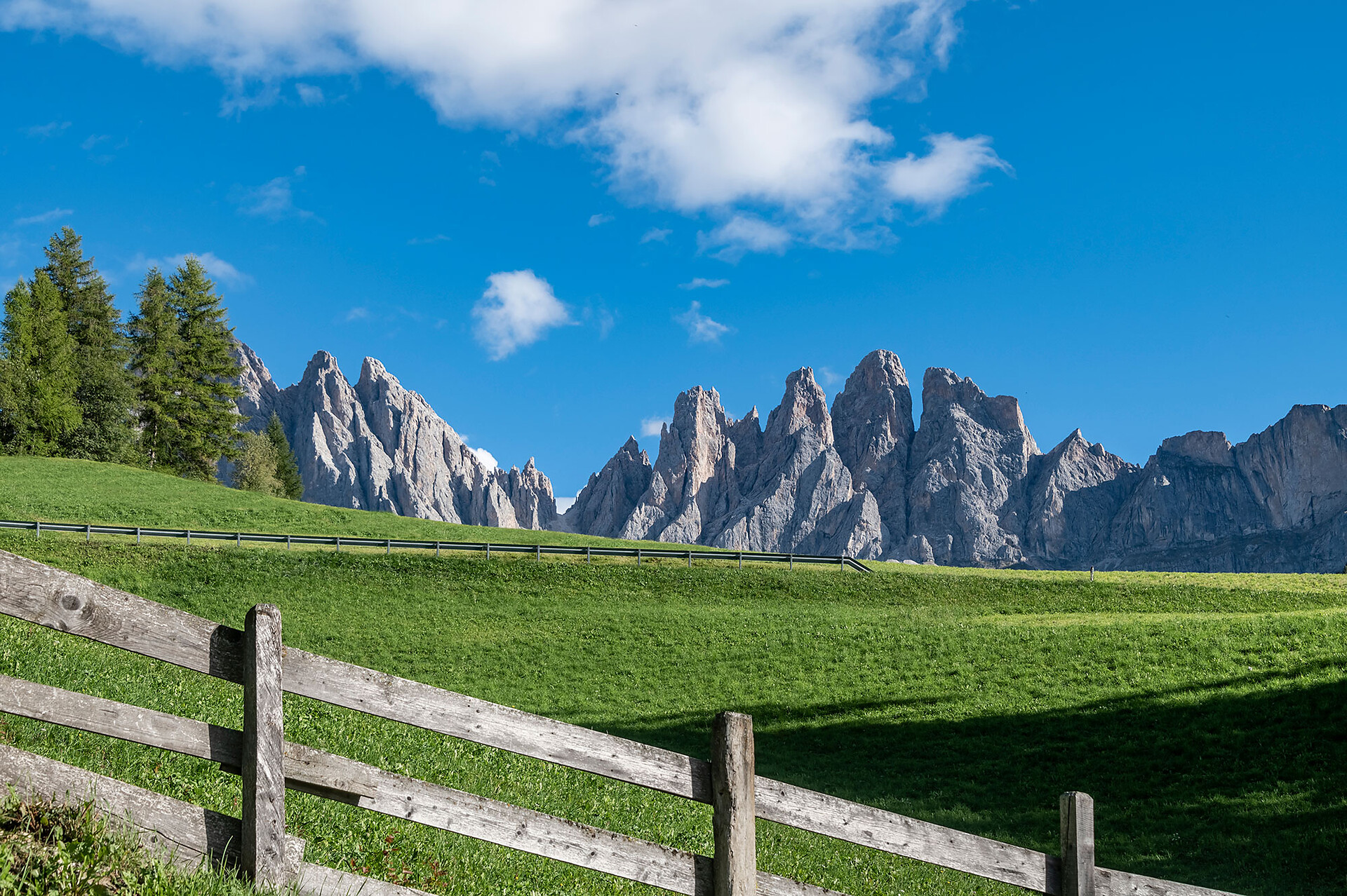 Geislerblick