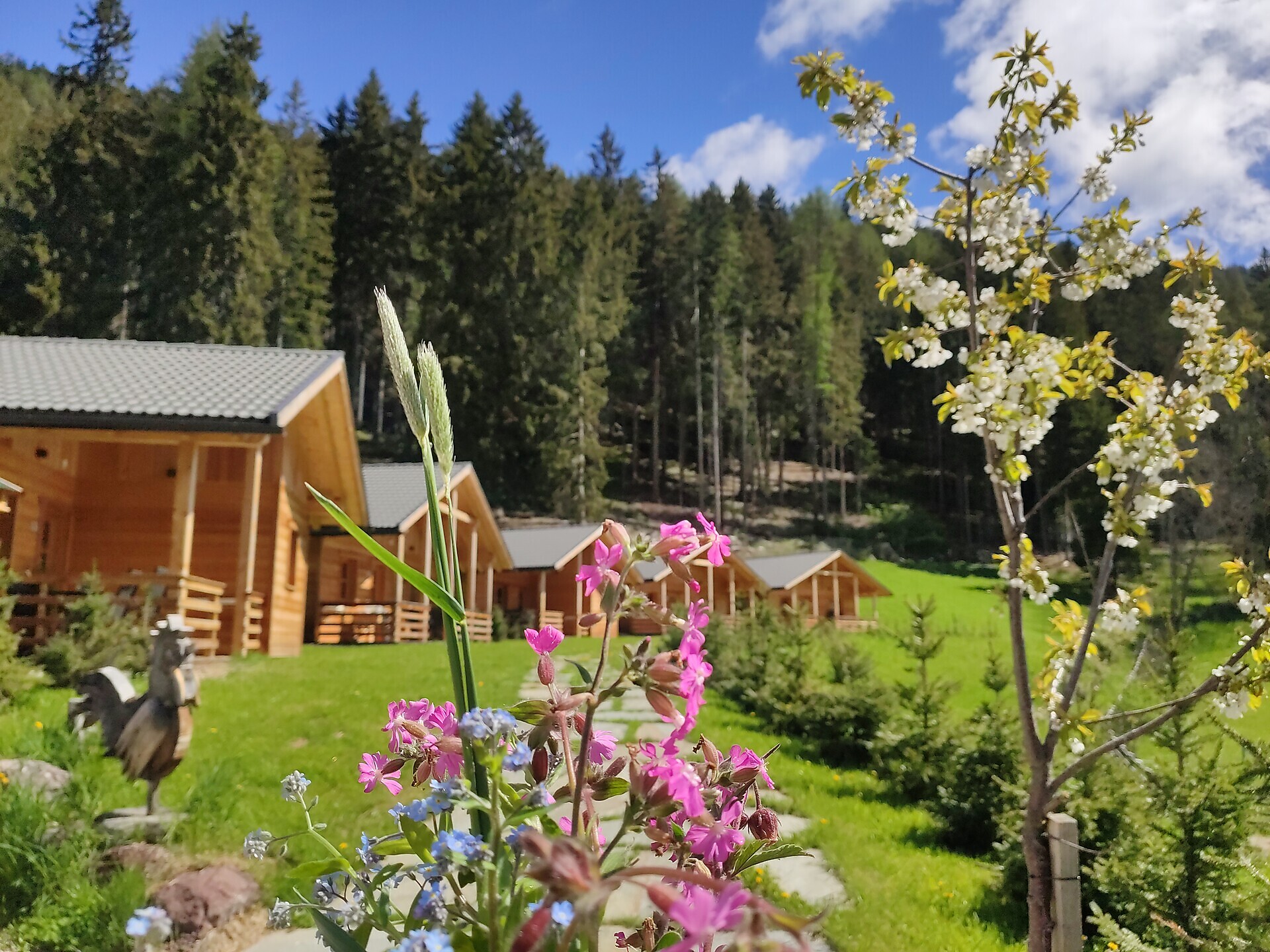 Alpenchalets Mair - Regione dolomitica 3 Cime - #1 - suedtirol.info