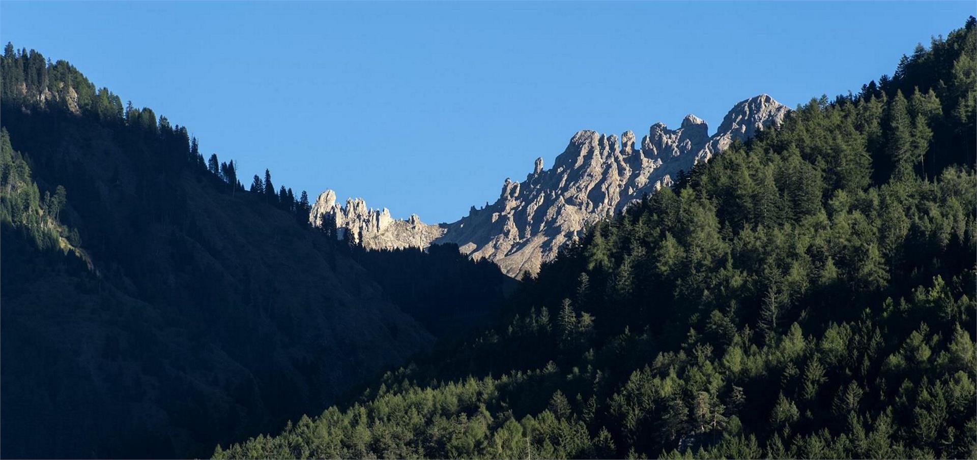 Appartment Villa Erna Kastelruth 18 suedtirol.info