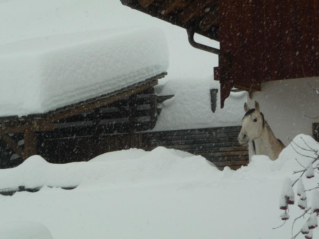 App. Aria d'Pre Badia 22 suedtirol.info