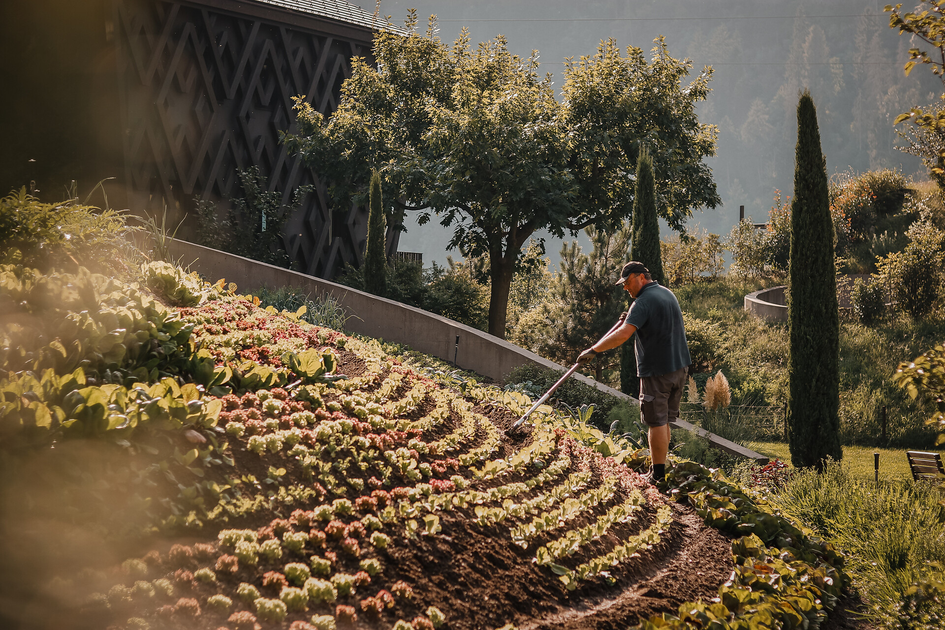 Gemüsegarten am Hof