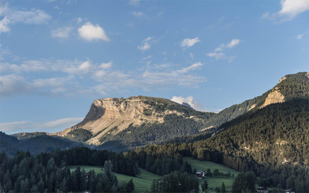 Rainell Dolomites Retreat St.Ulrich 21 suedtirol.info