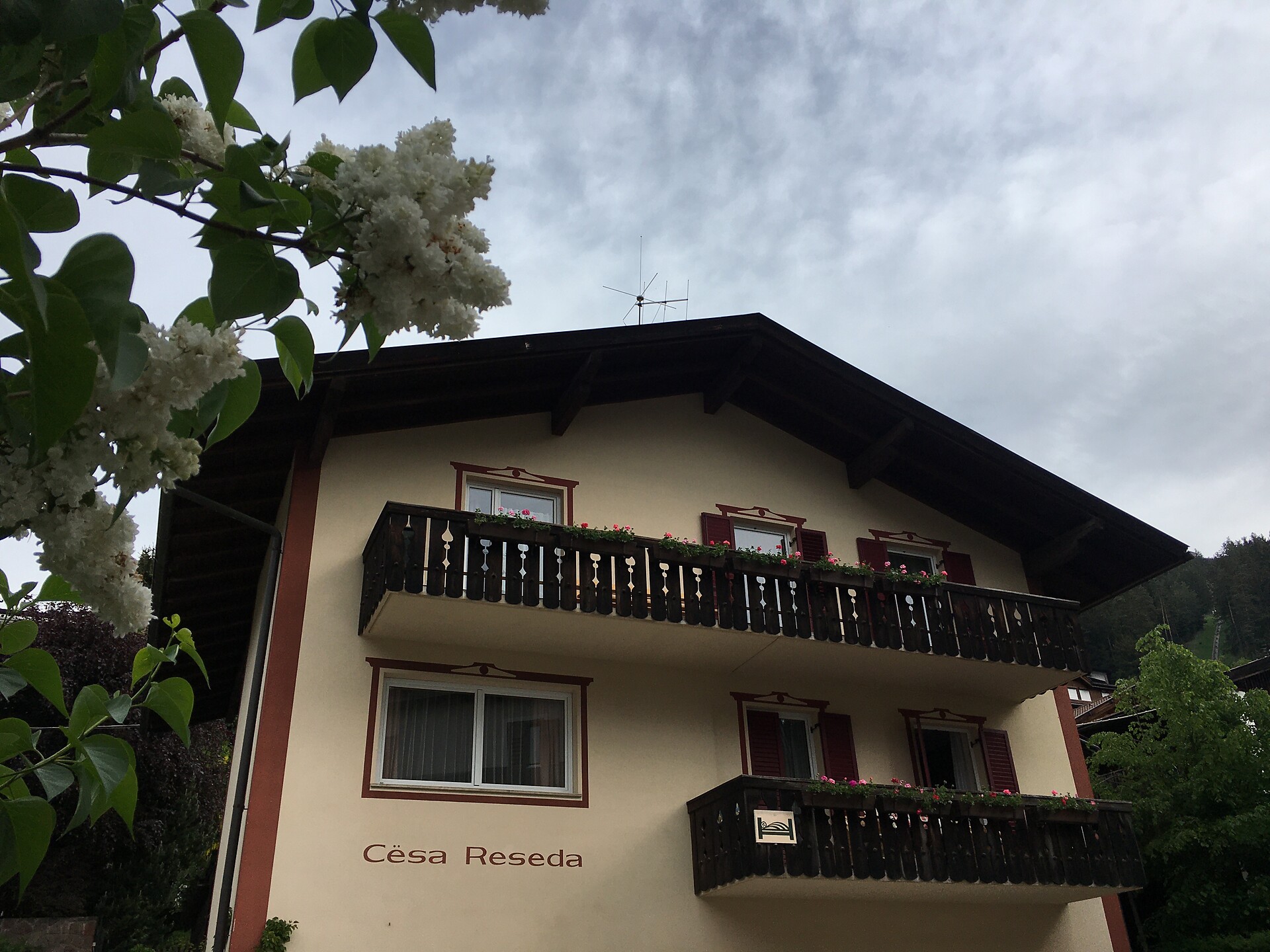 Outdoor view