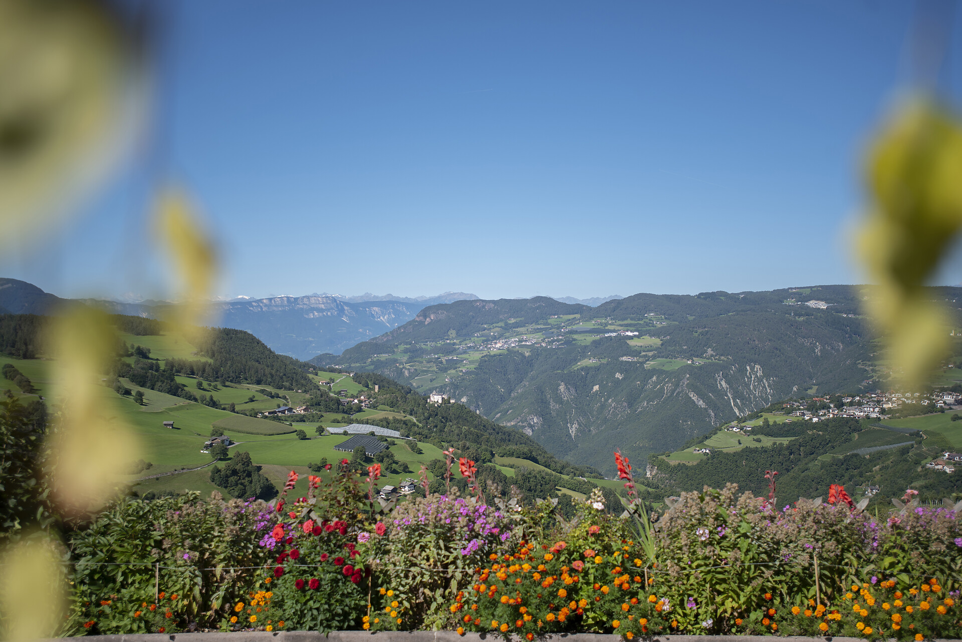 Aichbühlerhof Völs am Schlern/Fiè allo Sciliar 20 suedtirol.info