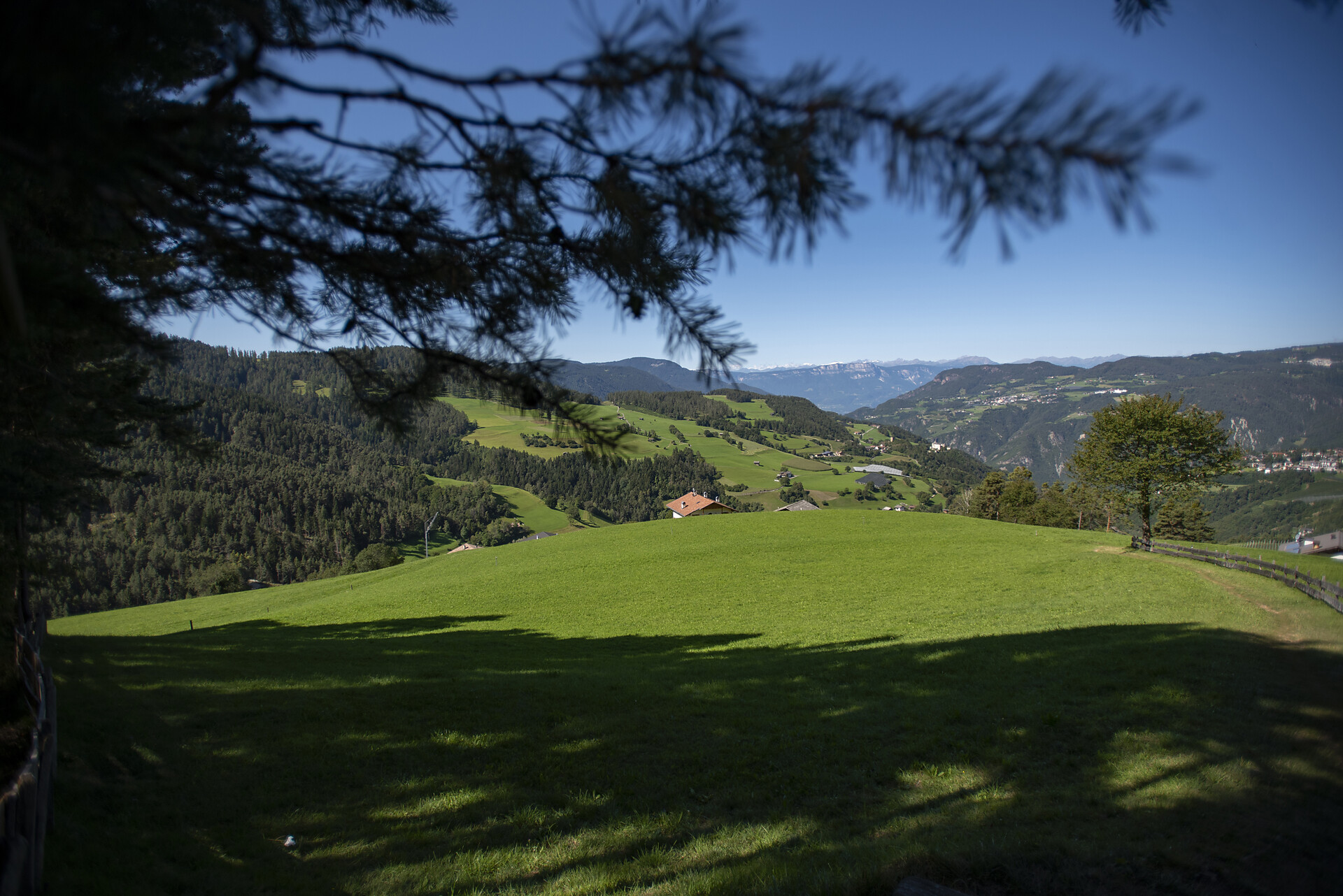 Aichbühlerhof Völs am Schlern/Fiè allo Sciliar 6 suedtirol.info