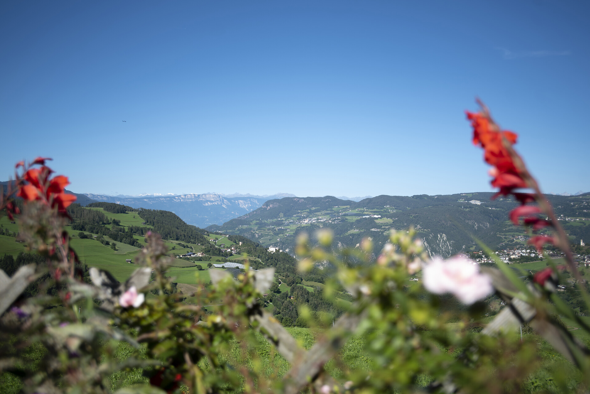 Aichbühlerhof Völs am Schlern/Fiè allo Sciliar 14 suedtirol.info