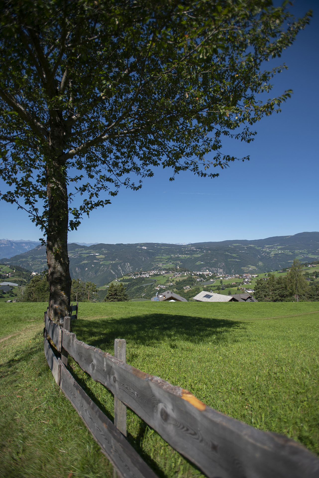 Aichbühlerhof Völs am Schlern/Fiè allo Sciliar 19 suedtirol.info