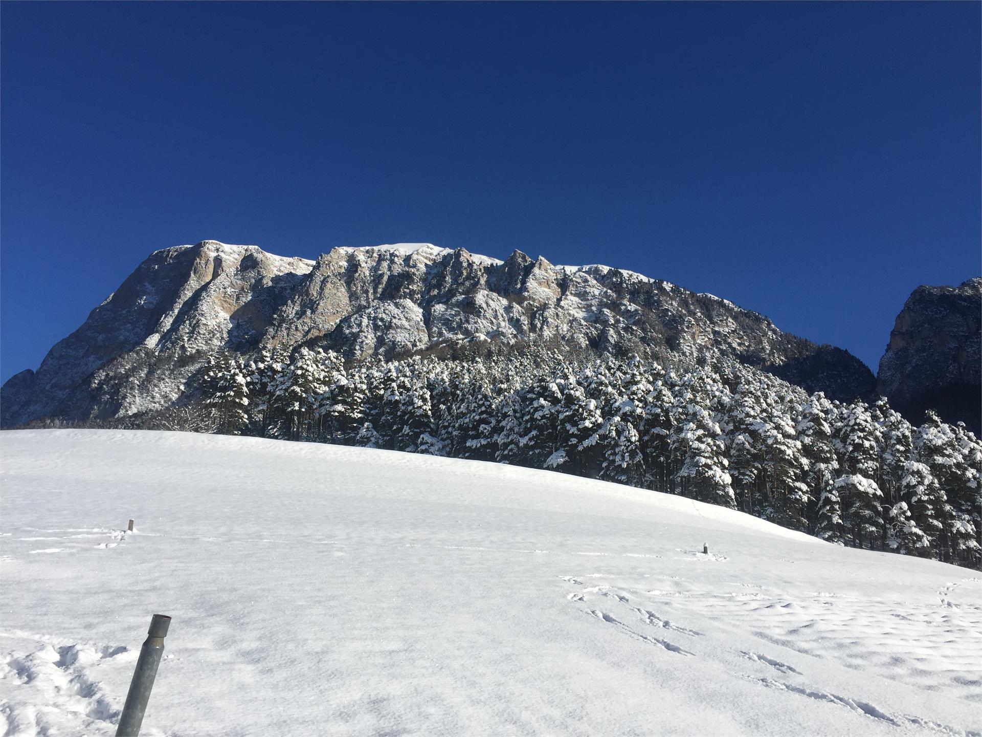 Aichbühlerhof Völs am Schlern/Fiè allo Sciliar 3 suedtirol.info