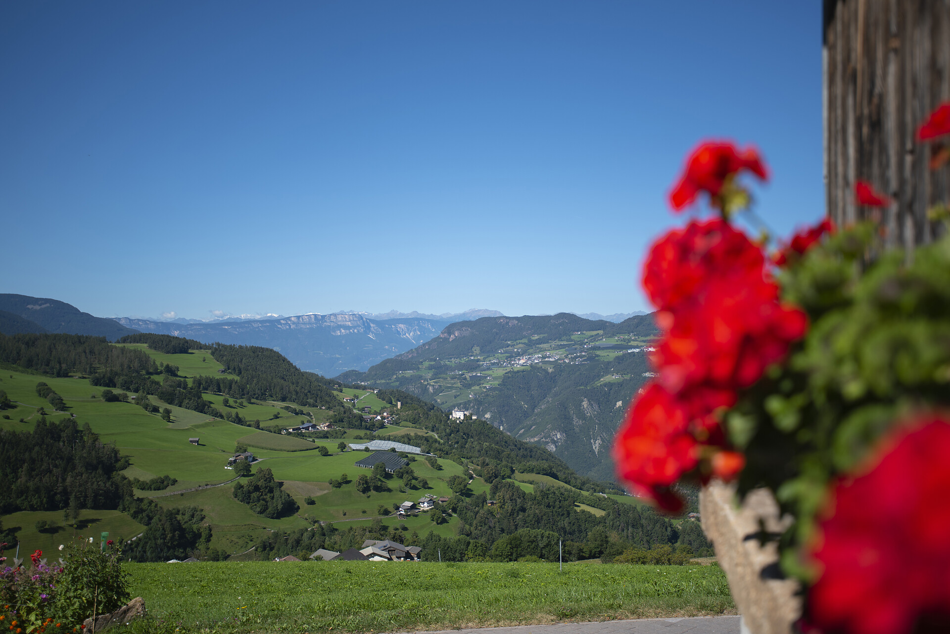 Aichbühlerhof Völs am Schlern/Fiè allo Sciliar 15 suedtirol.info