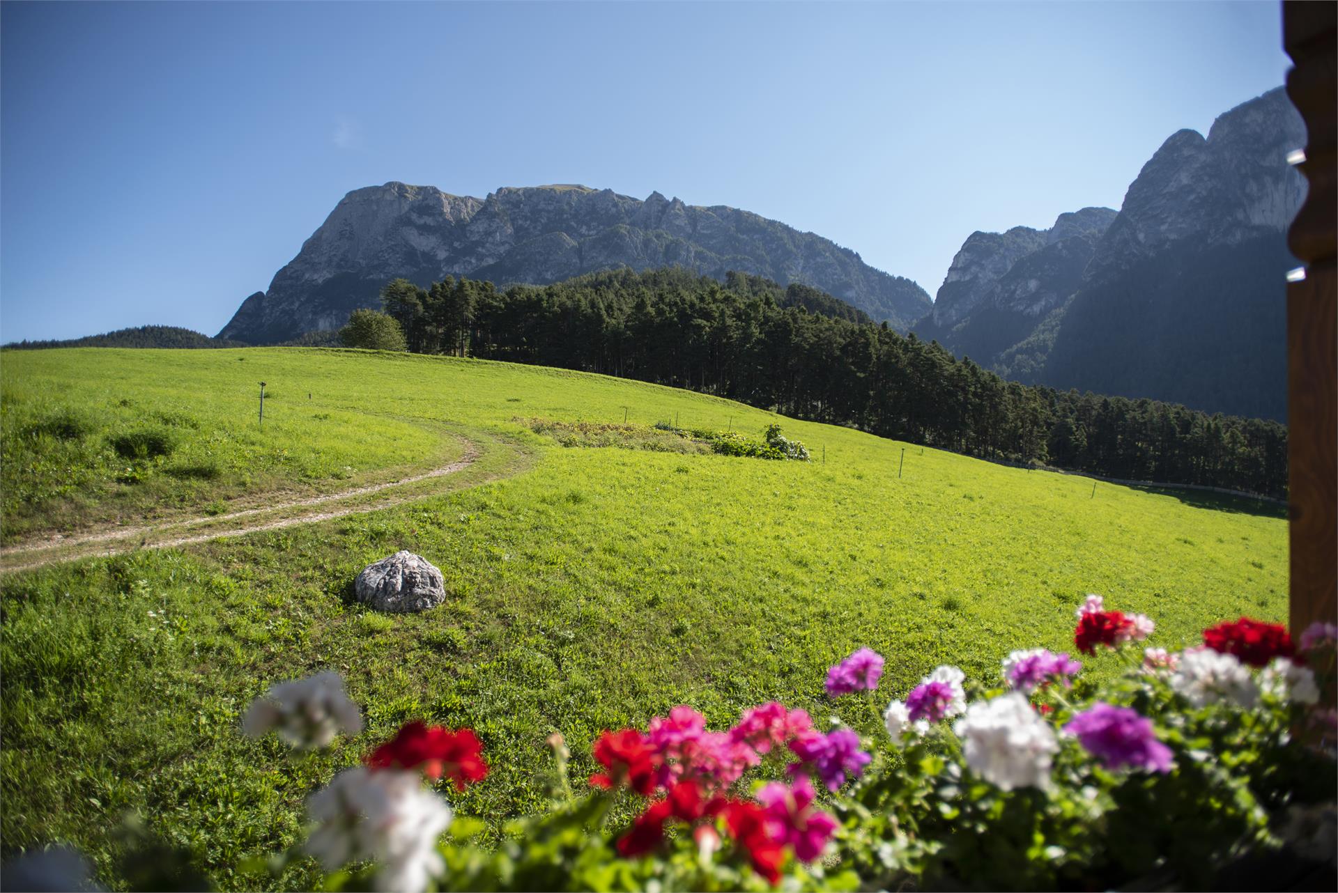 Aichbühlerhof Völs am Schlern/Fiè allo Sciliar 4 suedtirol.info