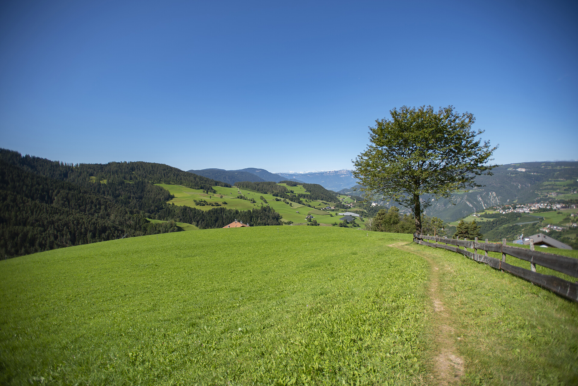 Aichbühlerhof Völs am Schlern/Fiè allo Sciliar 17 suedtirol.info