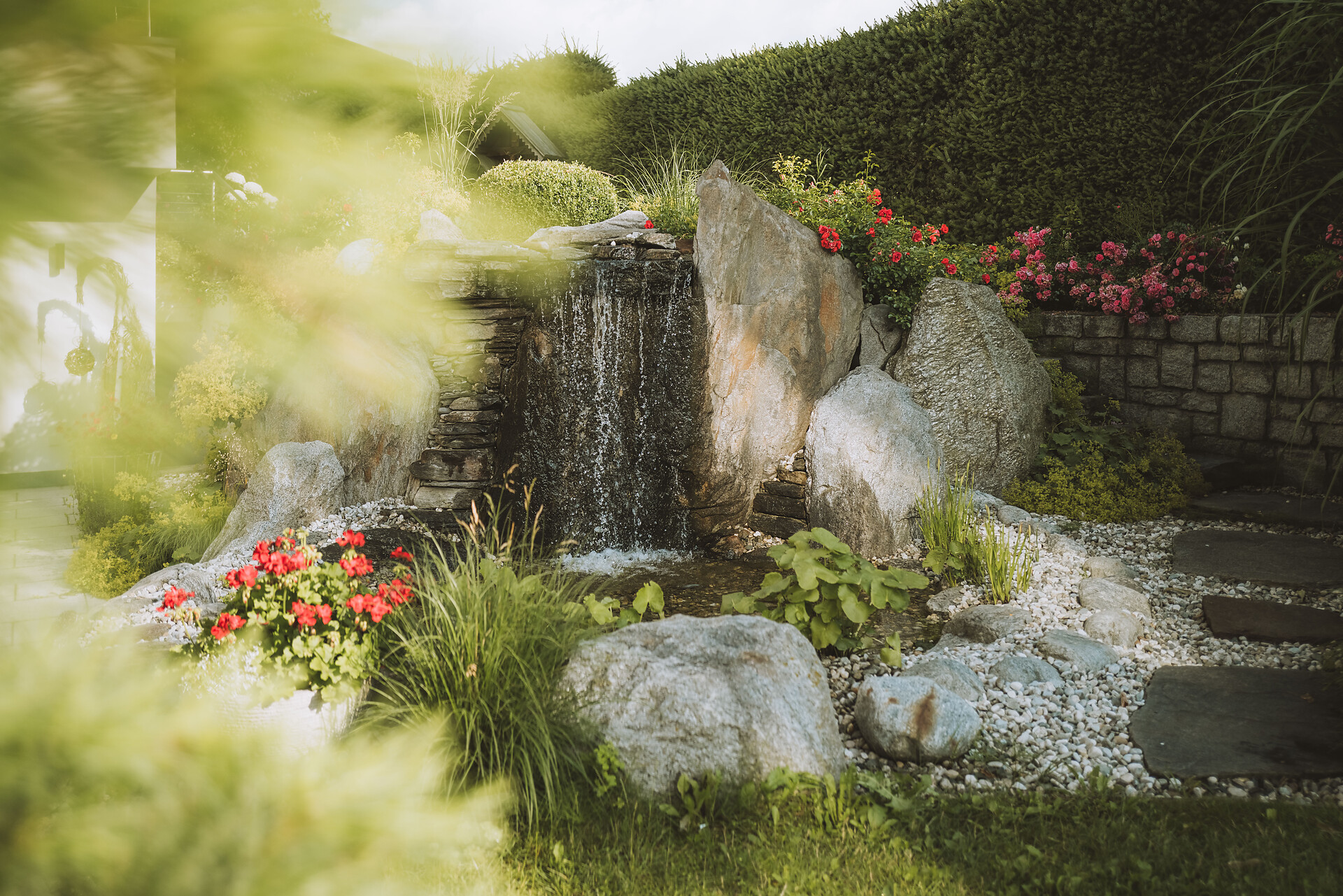 Giardino