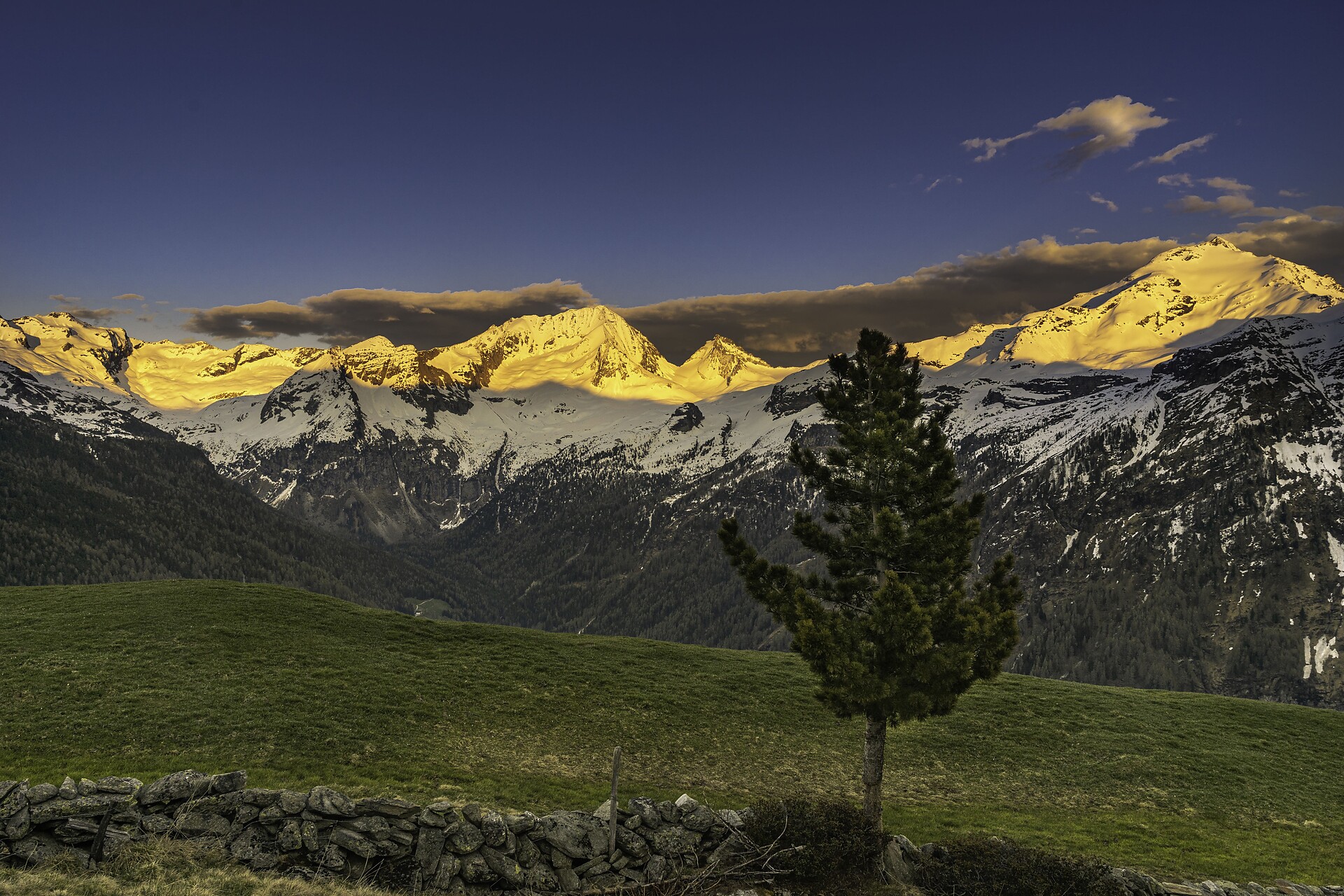 Kofler Alm