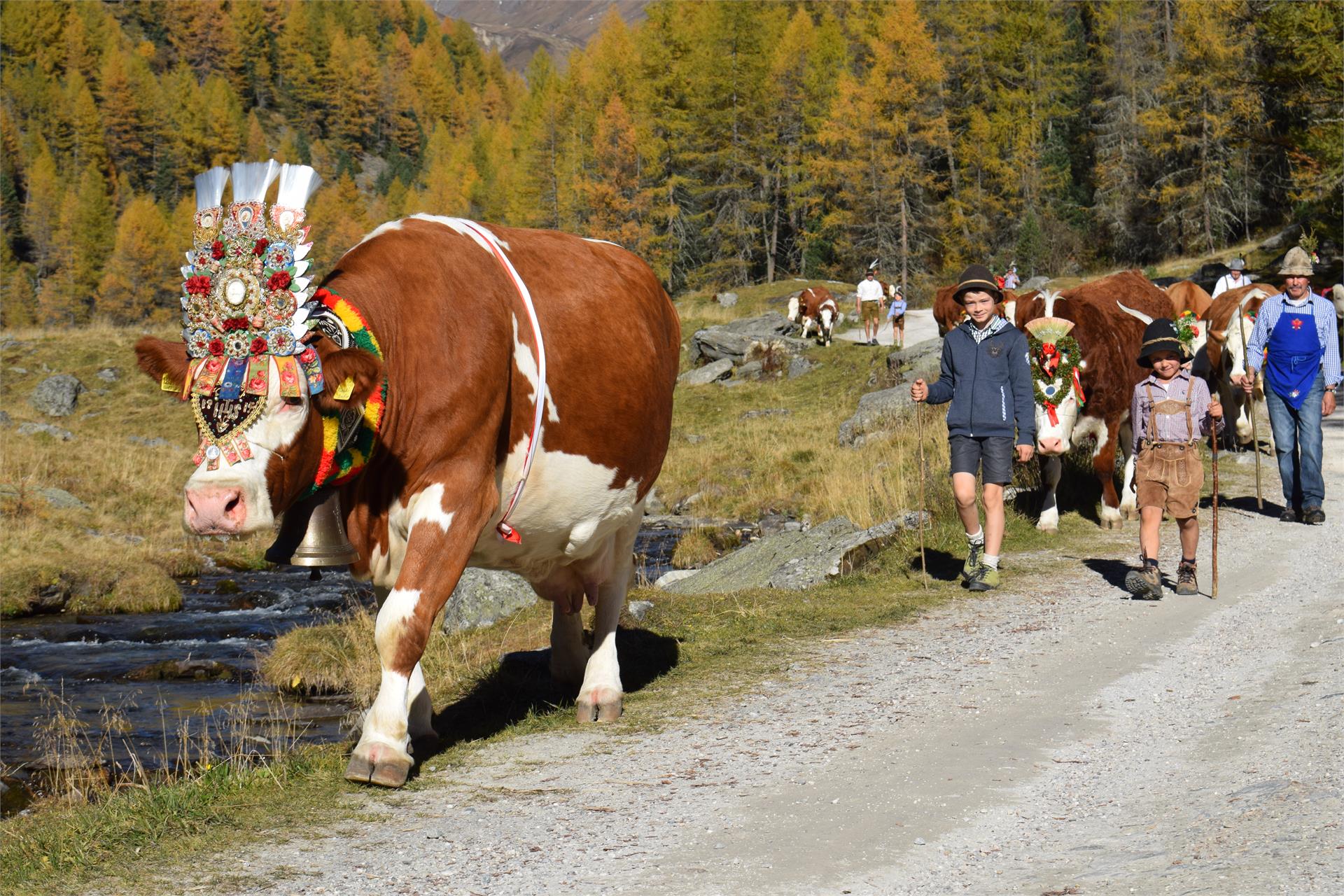 App. Lanerhof Campo Tures 7 suedtirol.info