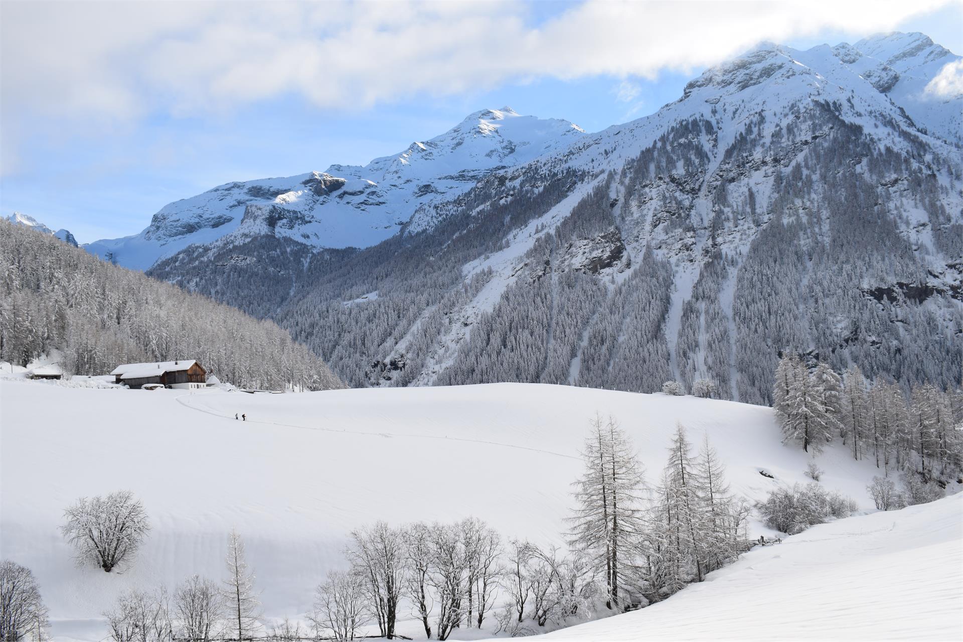App. Lanerhof Campo Tures 6 suedtirol.info