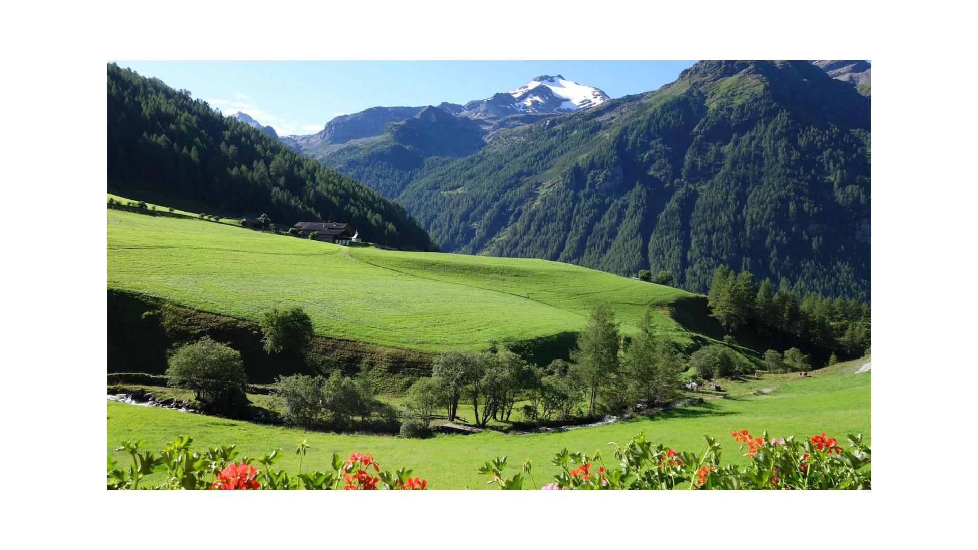 App. Lanerhof Campo Tures 12 suedtirol.info