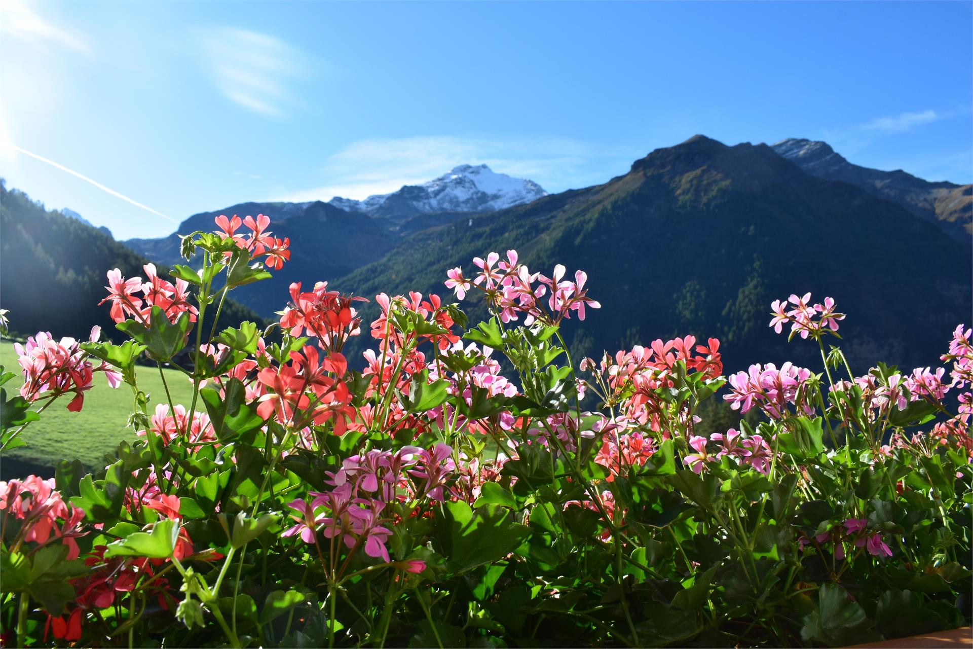 App. Lanerhof Campo Tures 5 suedtirol.info