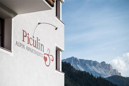 Alpin Apartments Piculin San Martin 7 suedtirol.info