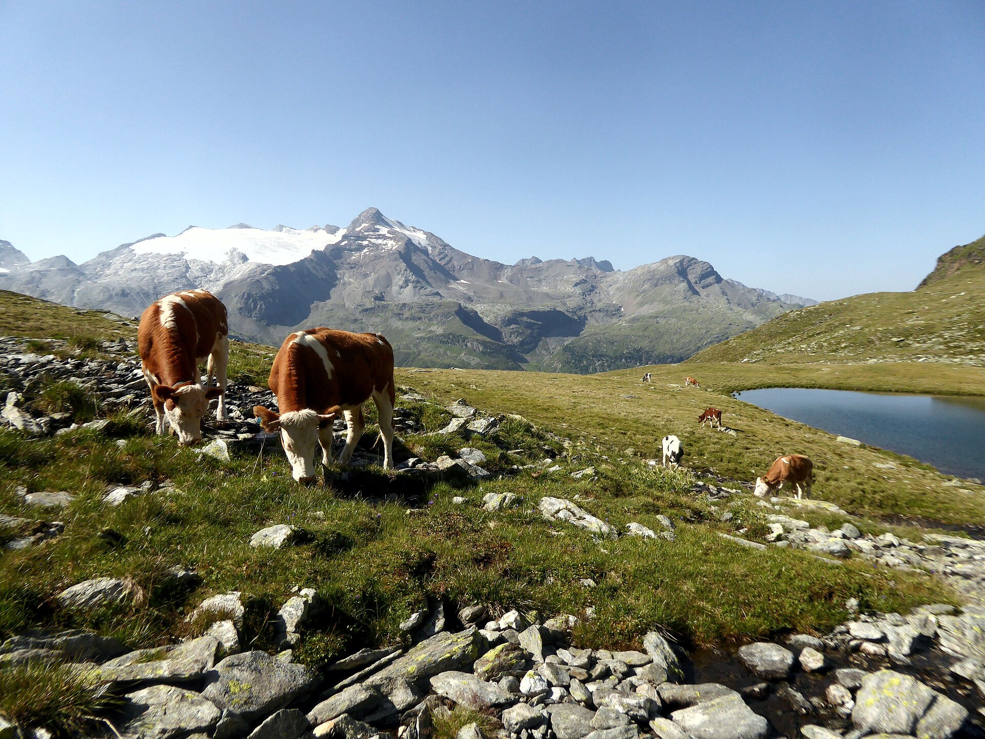 HOlidays in the mountain village Rein in Taufers