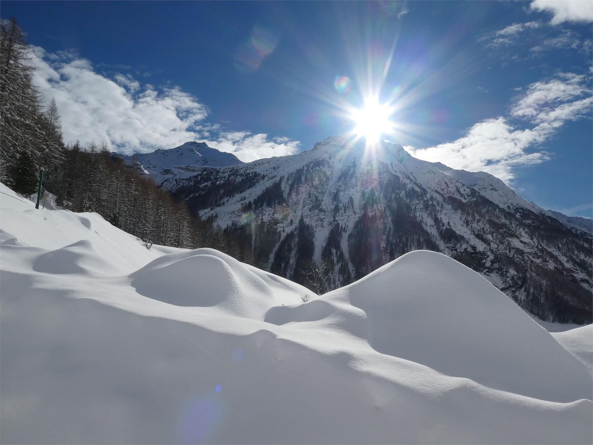 App. Oberhof Campo Tures 7 suedtirol.info