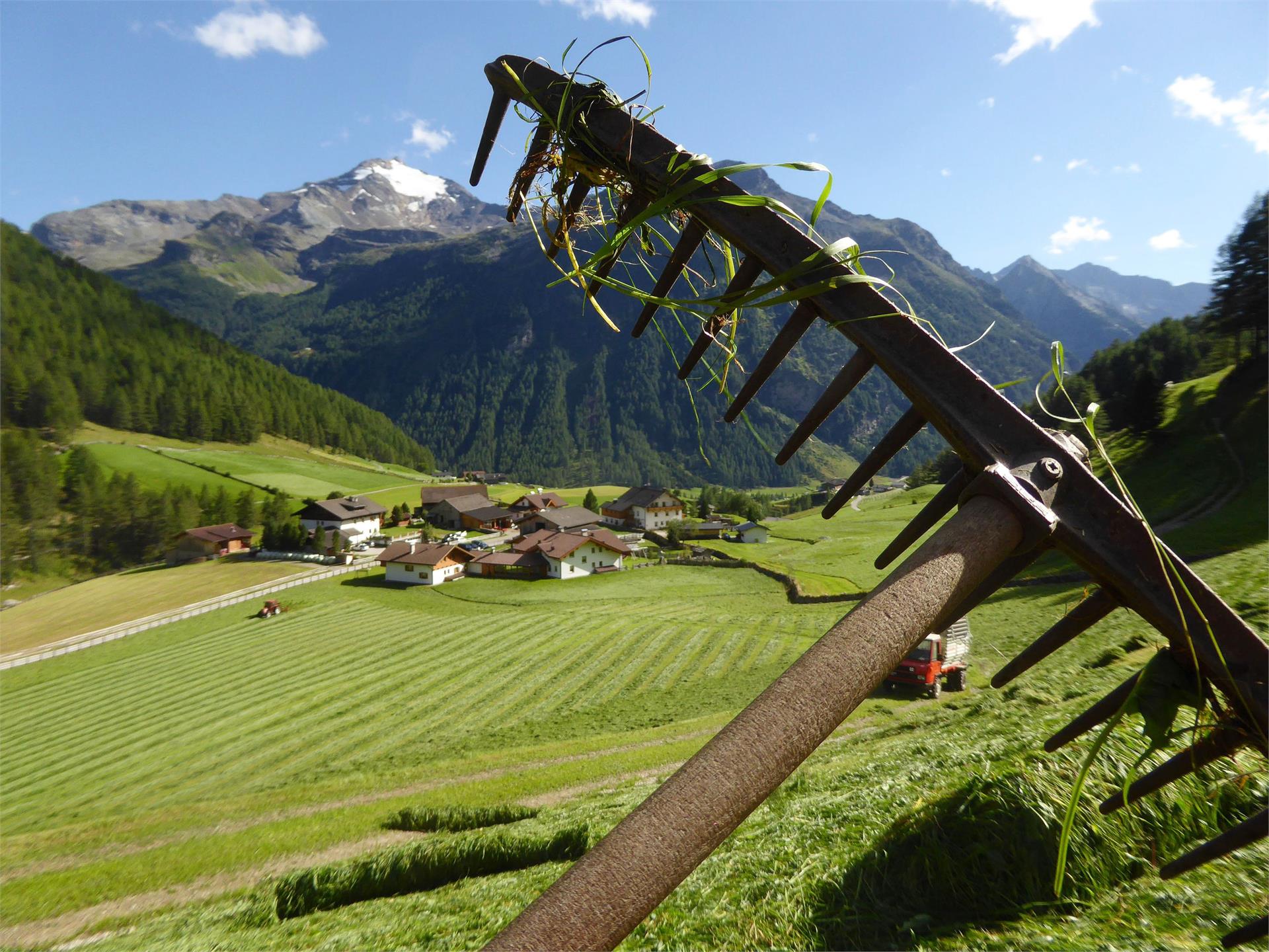 App. Oberhof Campo Tures 19 suedtirol.info