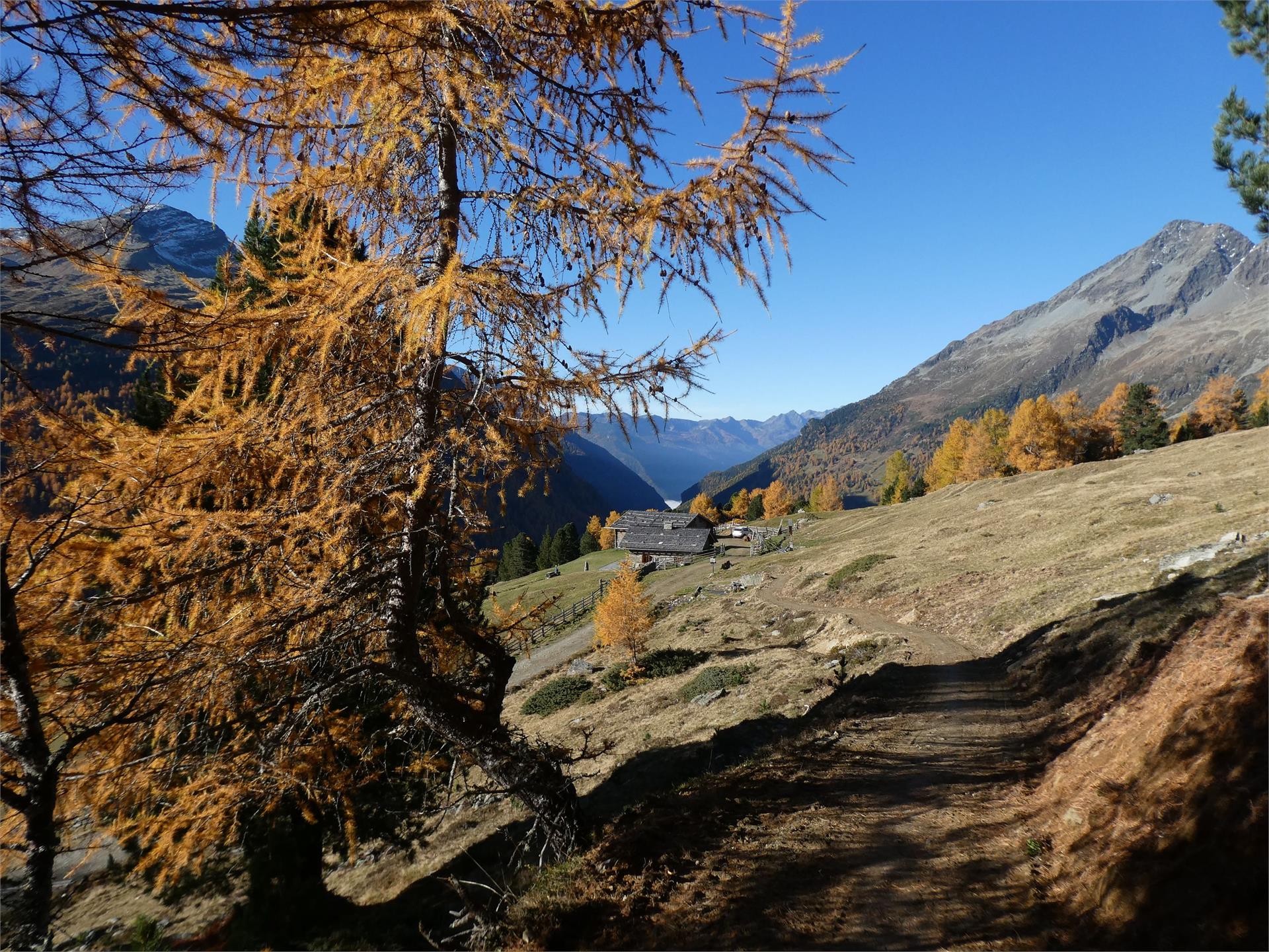 App. Oberhof Campo Tures 22 suedtirol.info