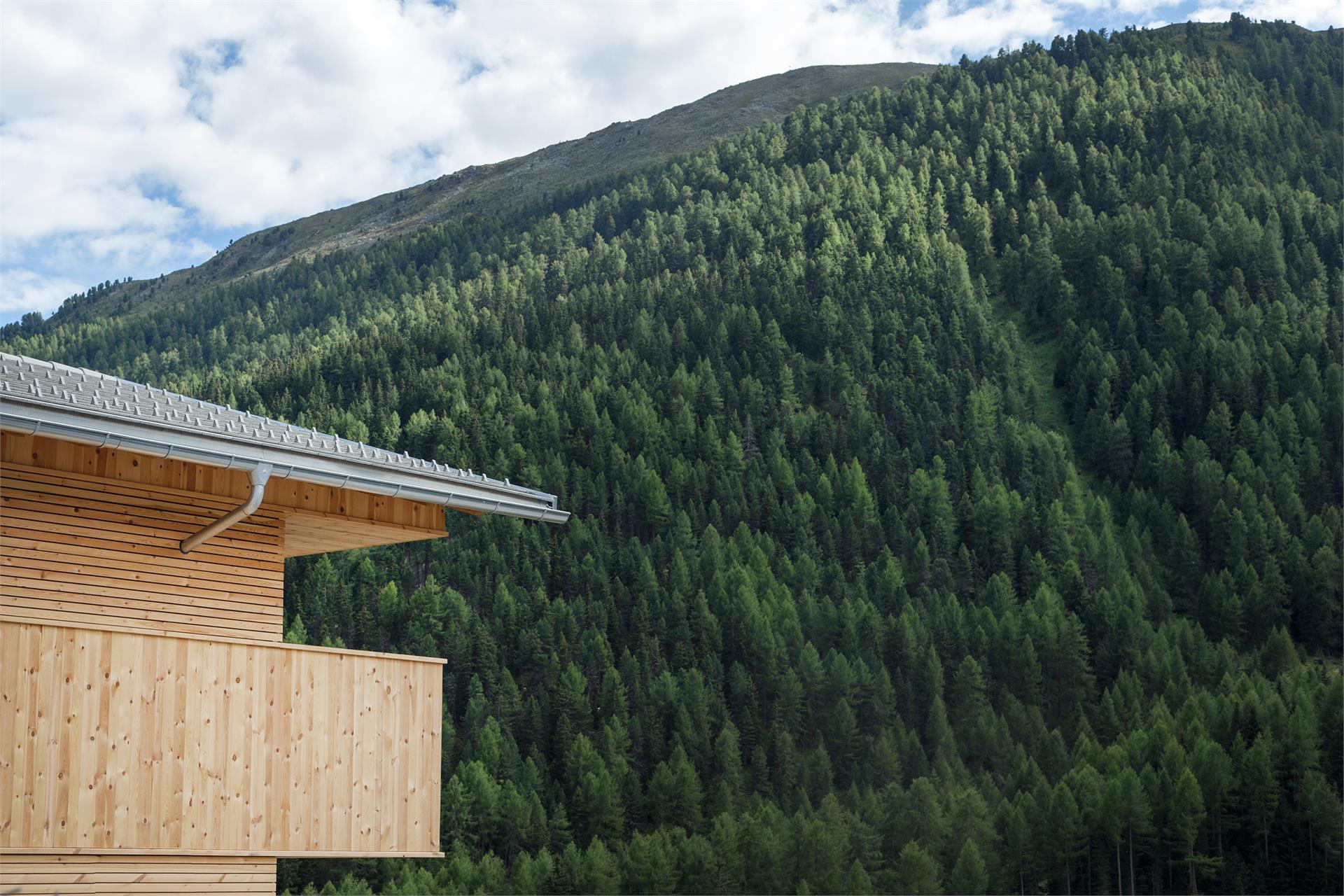 Andrien Mals/Malles 2 suedtirol.info