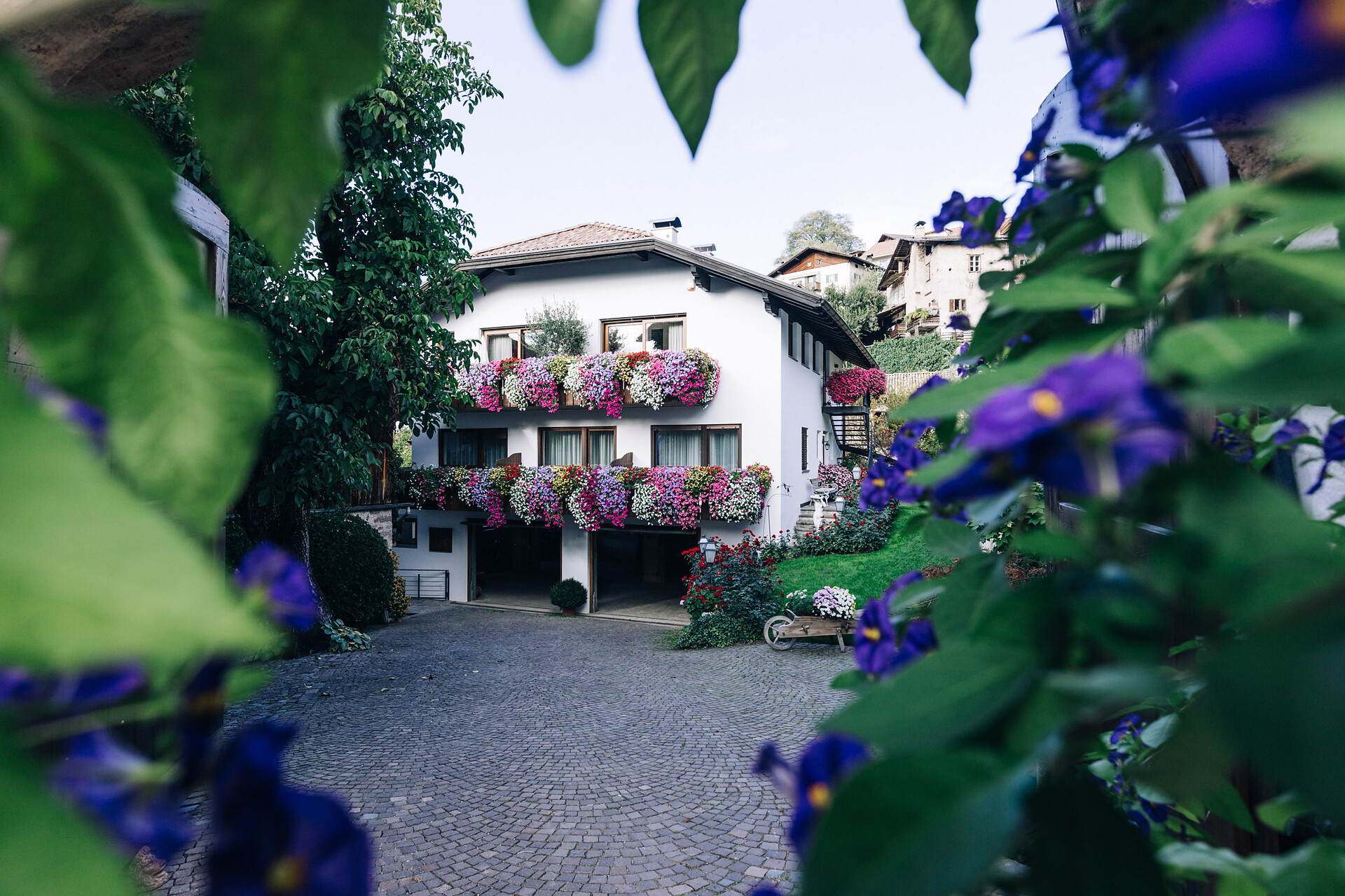 Garden residence