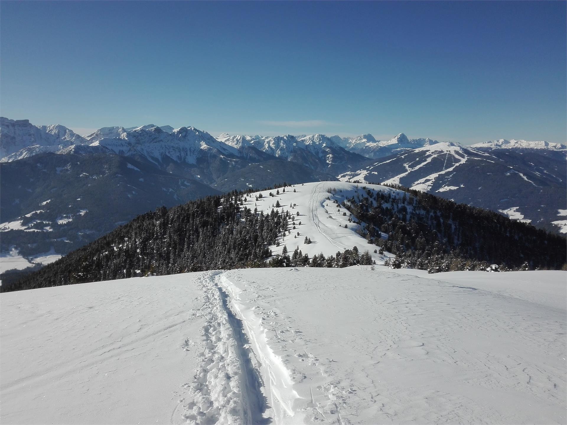Alpenblick Valle di Casies 19 suedtirol.info