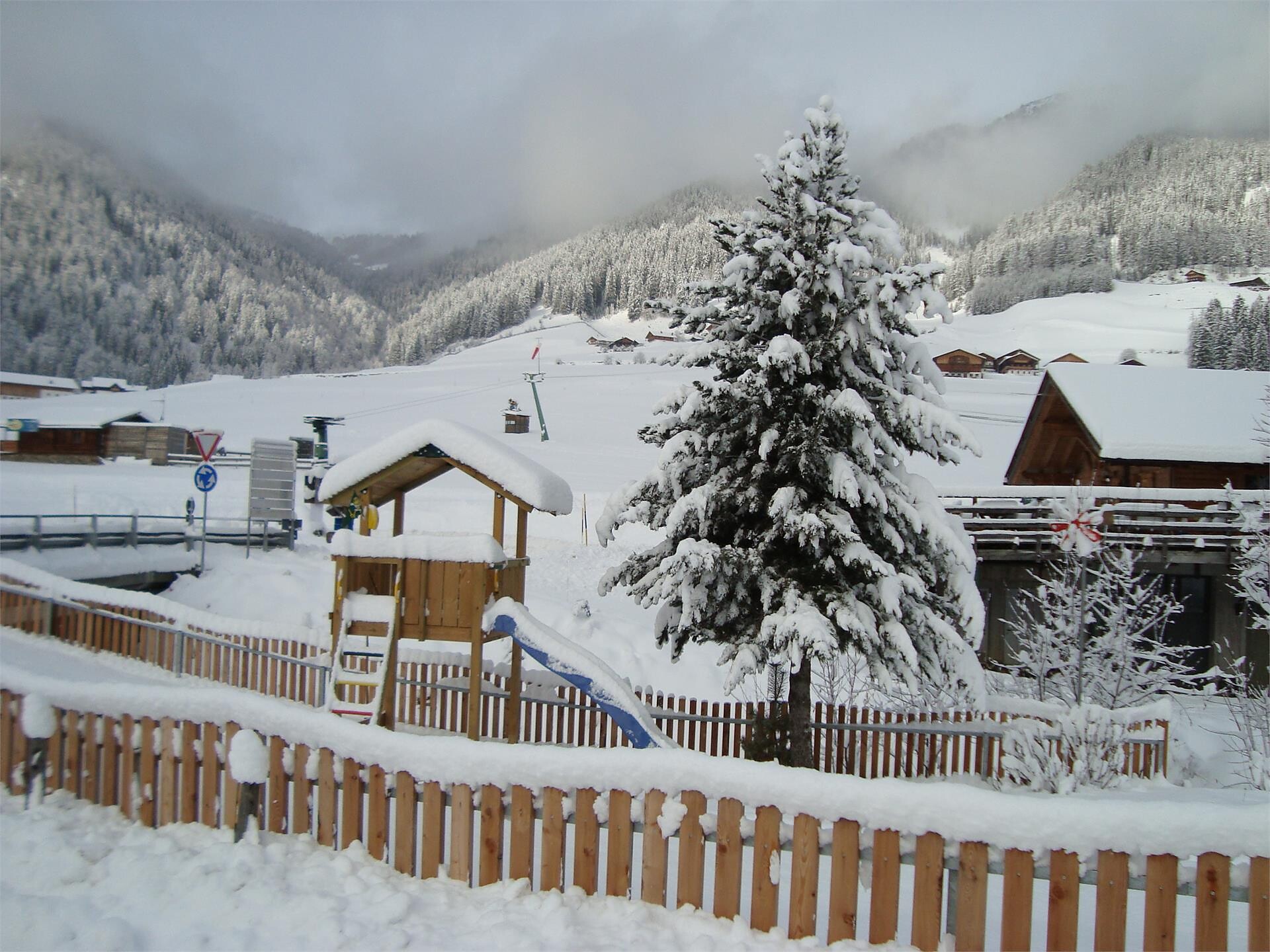 Winter