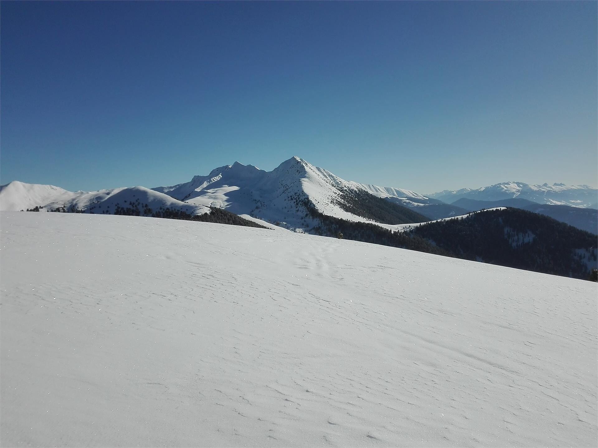 Rudelhorn