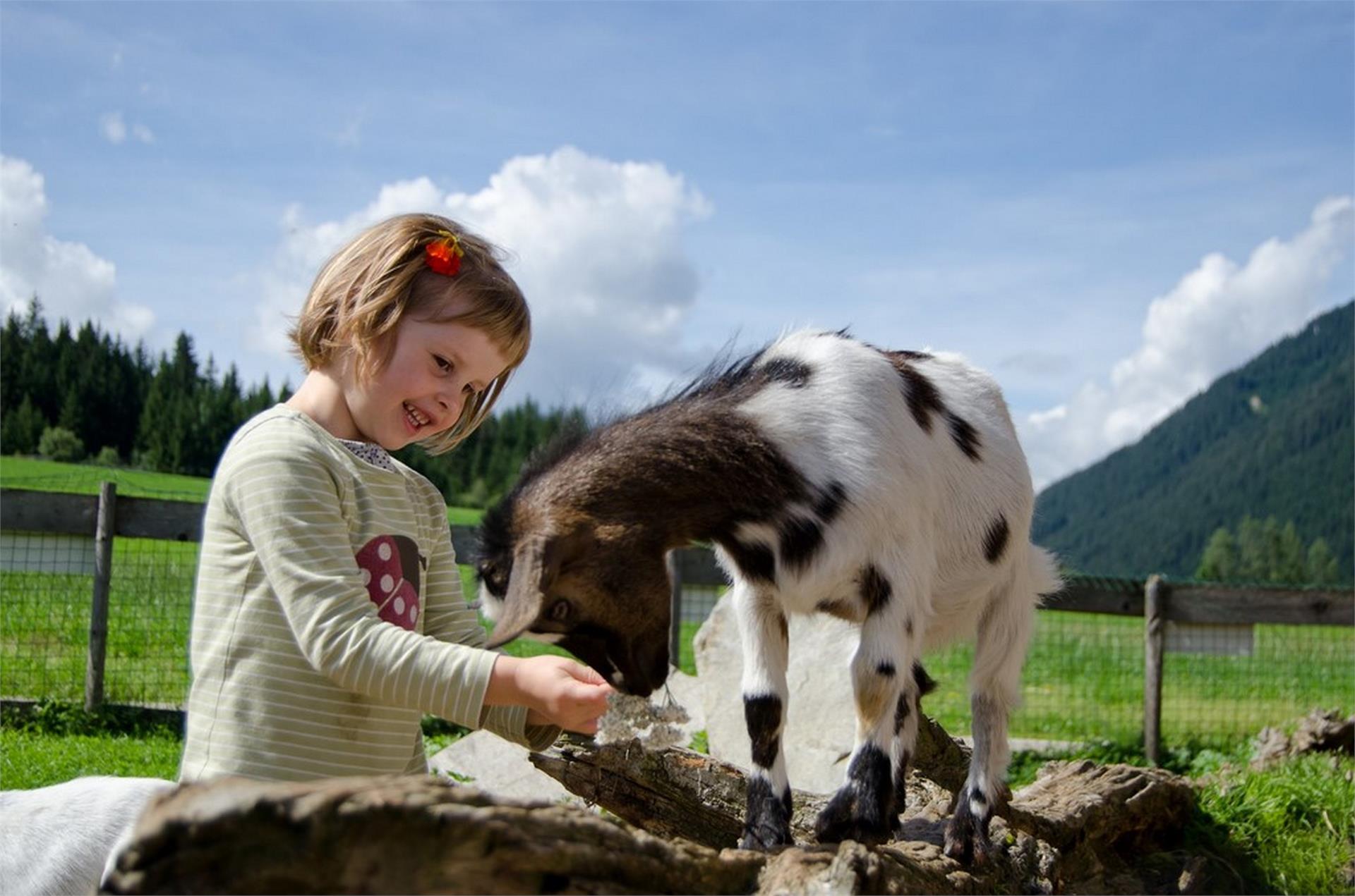 Aussermahrhof Gsies/Valle di Casies 13 suedtirol.info