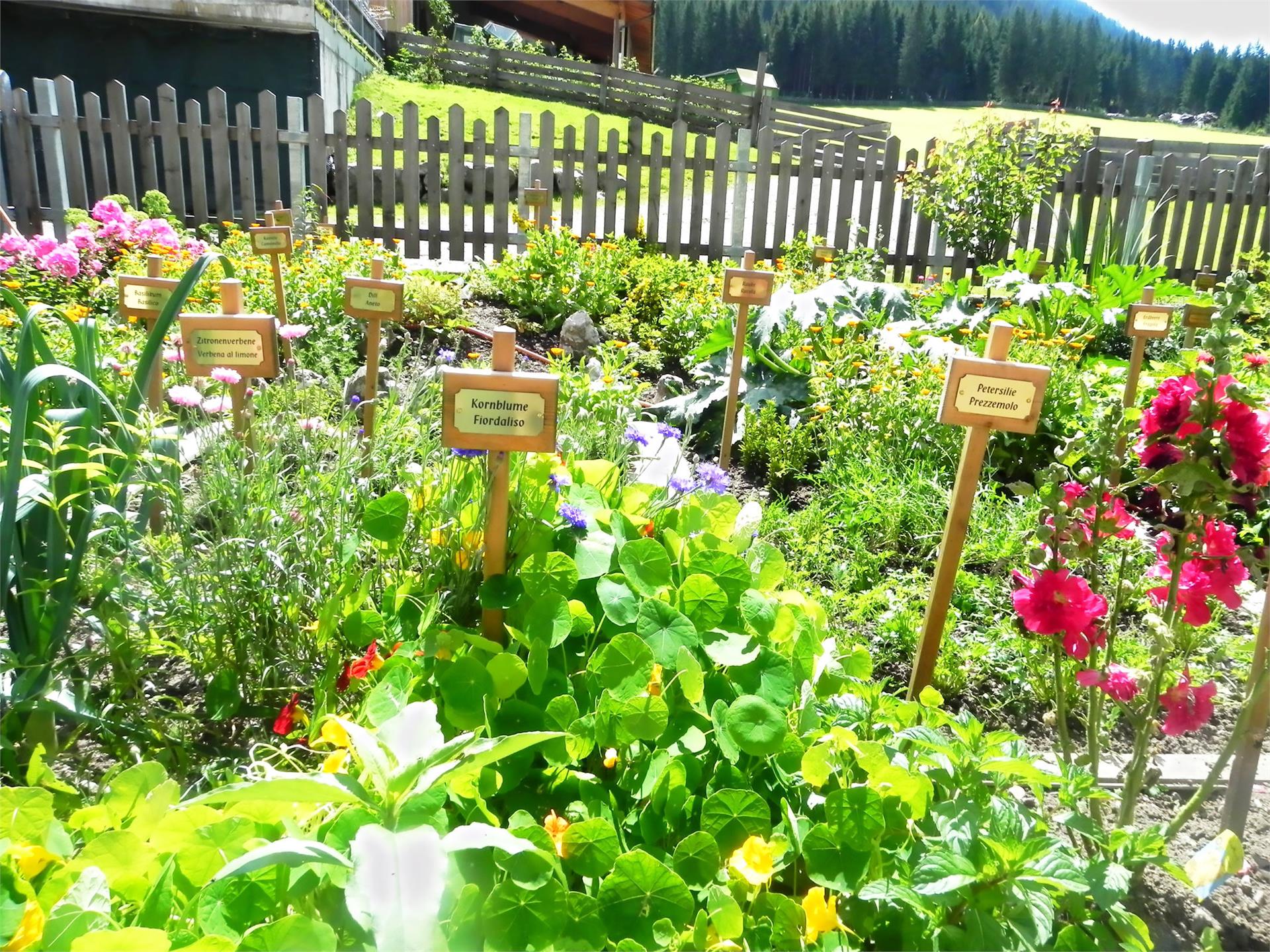Aussermahrhof Gsies/Valle di Casies 25 suedtirol.info