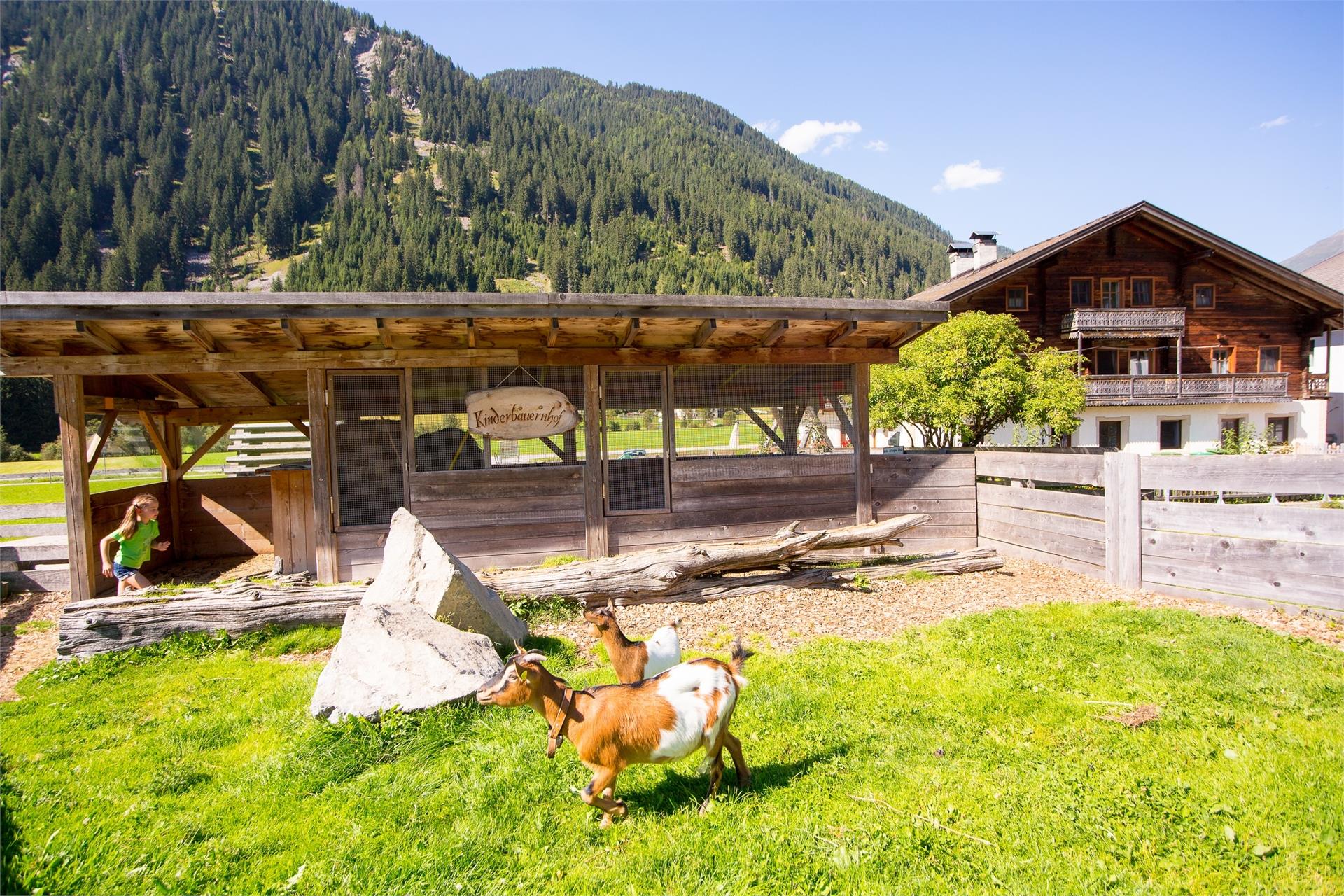 Aussermahrhof Gsies/Valle di Casies 11 suedtirol.info