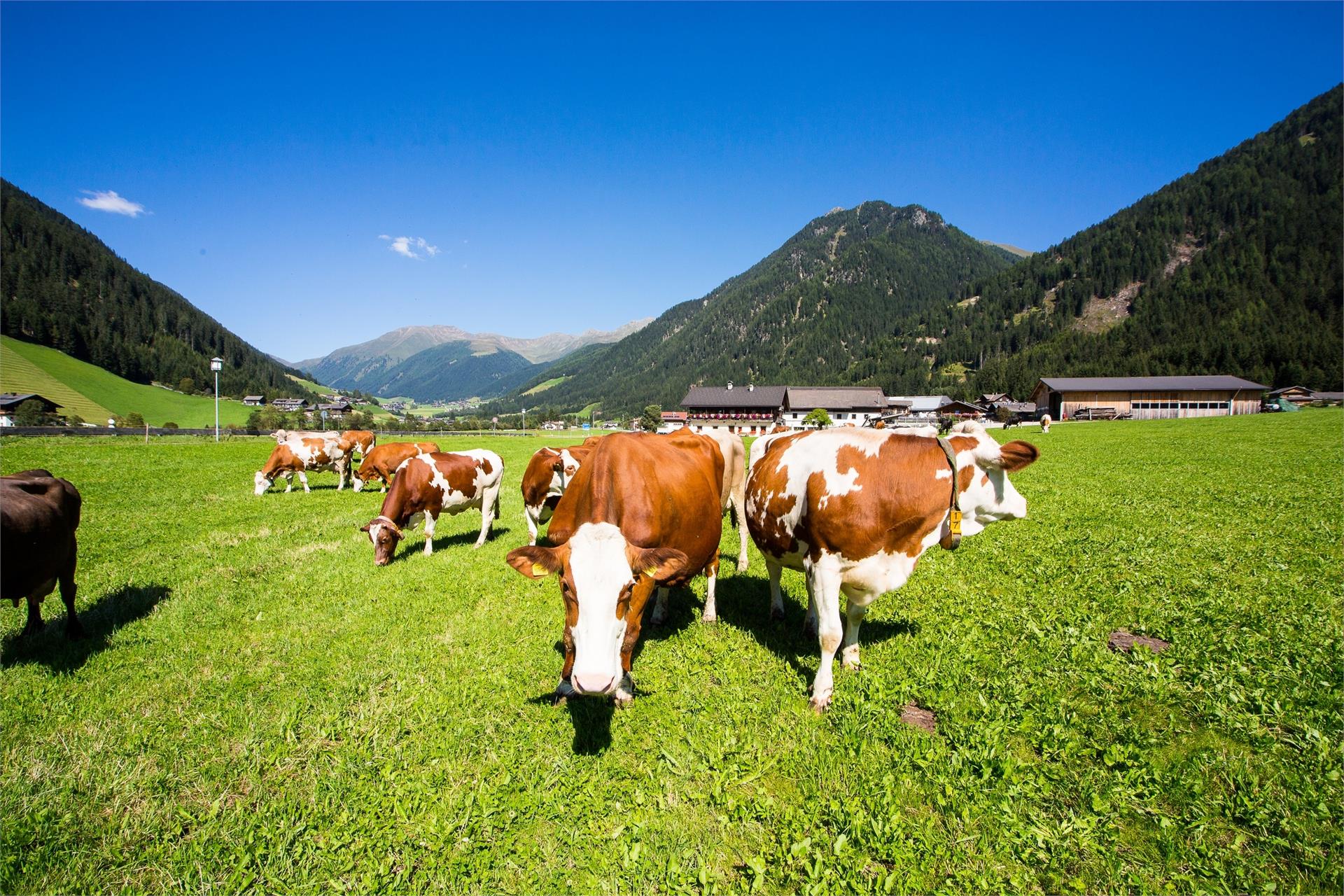 Aussermahrhof Gsies/Valle di Casies 16 suedtirol.info