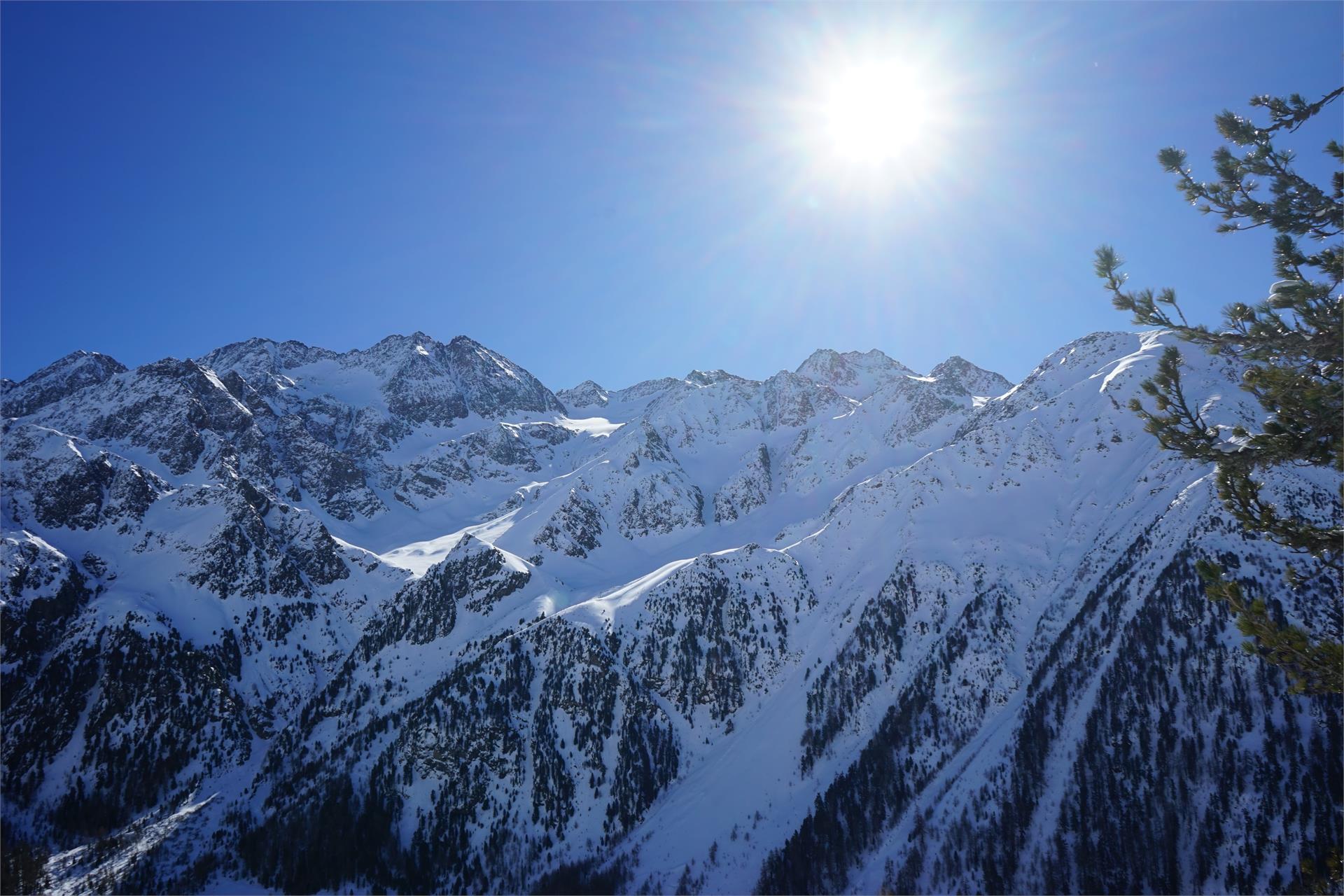 Almhotel Glieshof Mals 7 suedtirol.info