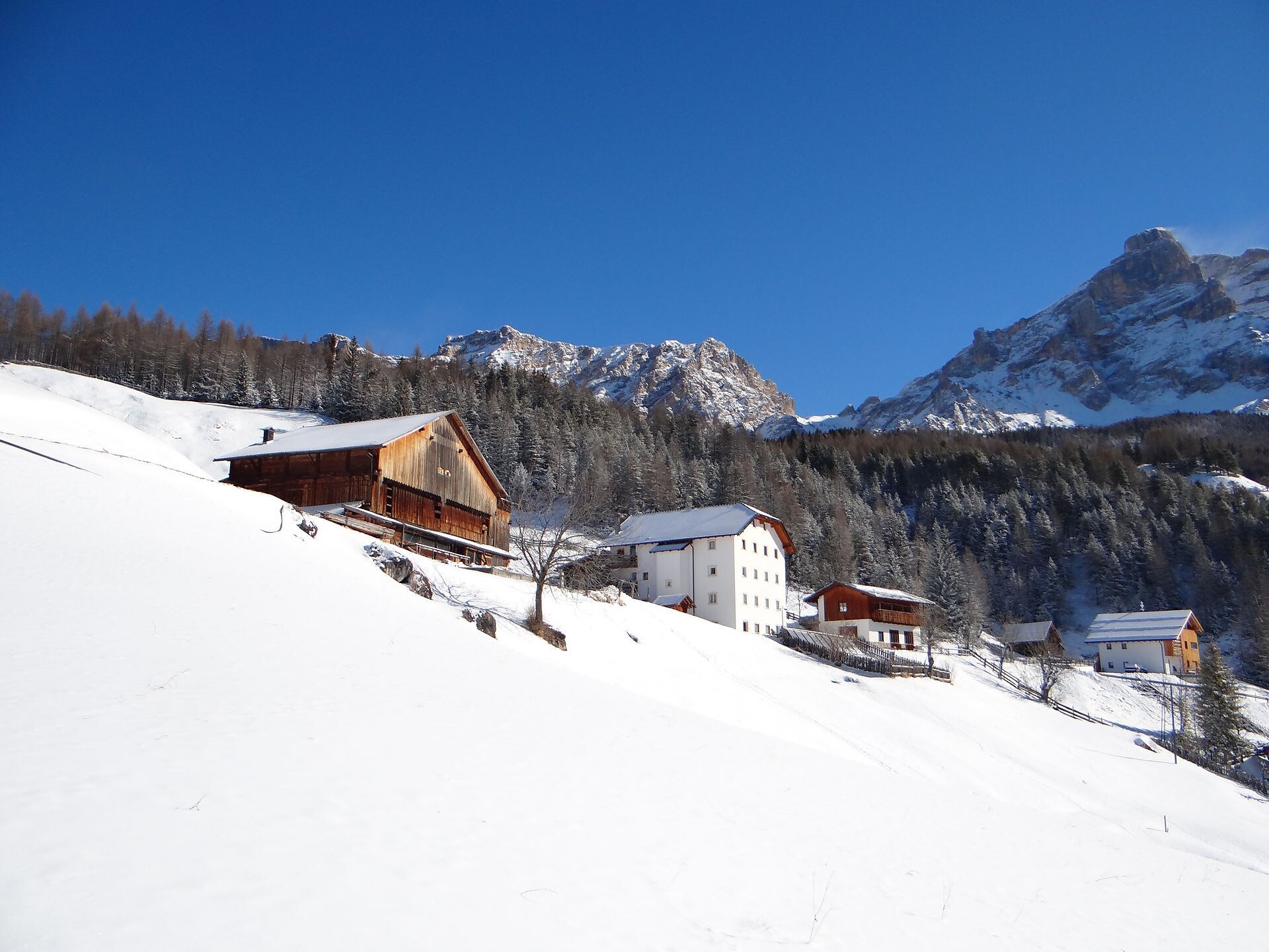 Lüch Rudiferia and La Morinara