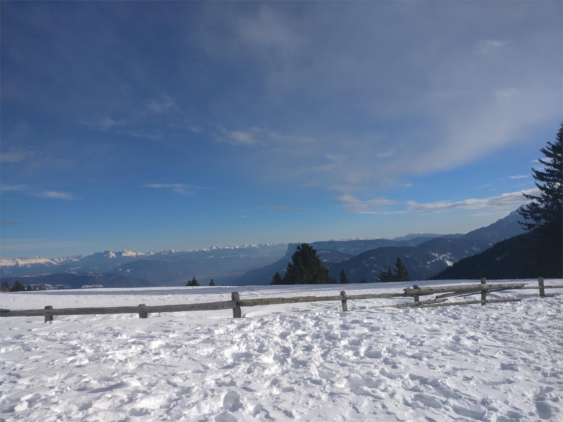 Appartements Schwarzlehen Naturns 5 suedtirol.info