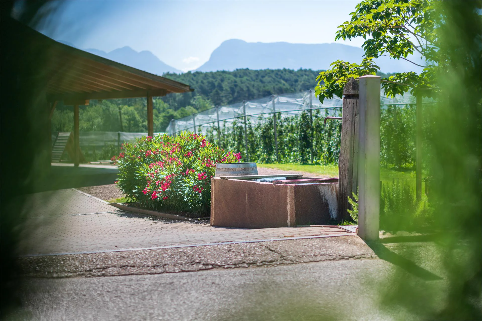 Adolfer Höfl Kaltern an der Weinstraße/Caldaro sulla Strada del Vino 29 suedtirol.info