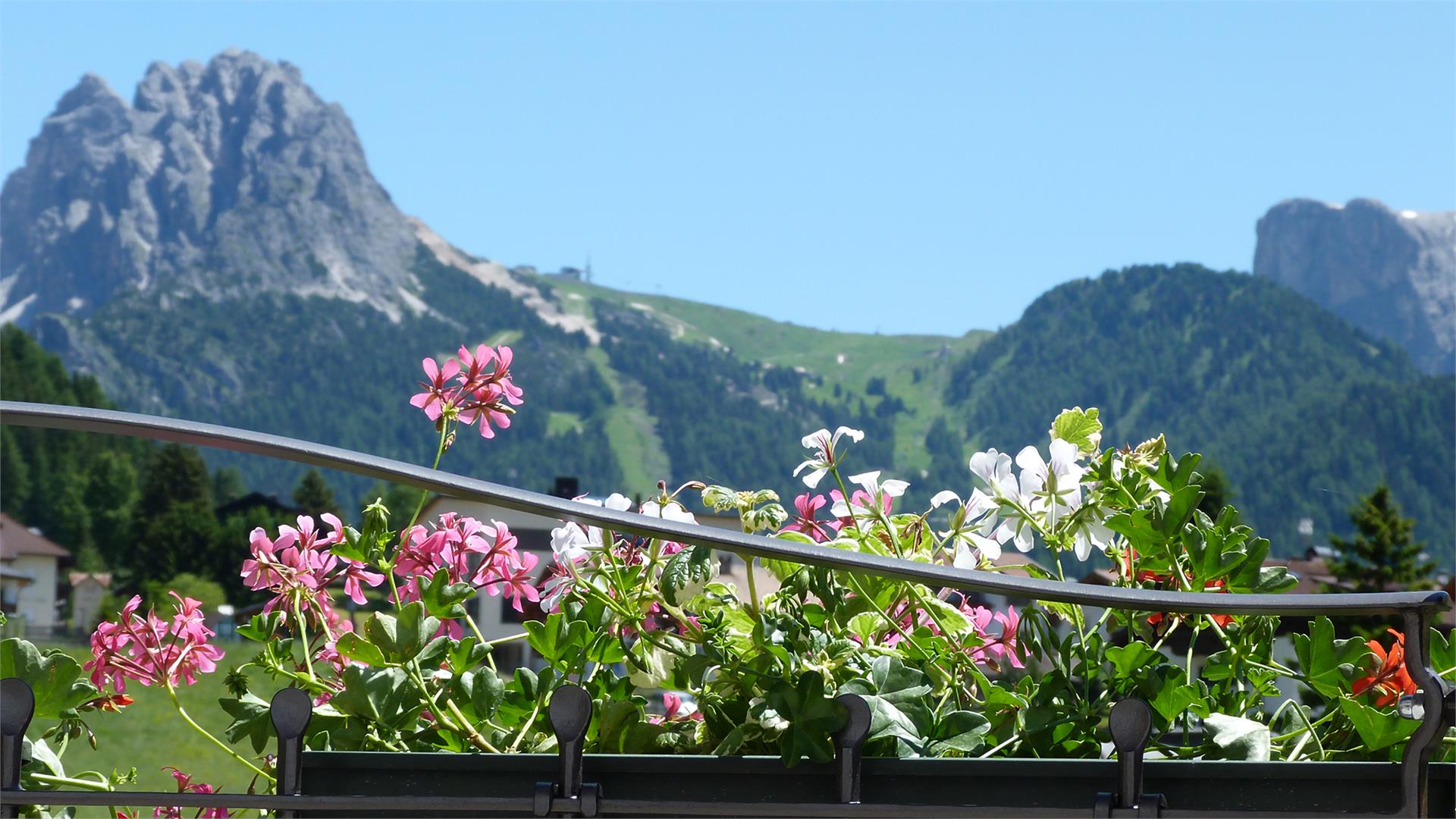 Apartments Cesa Gardis S.Crestina Gherdëina/Santa Cristina Val Gardana 30 suedtirol.info