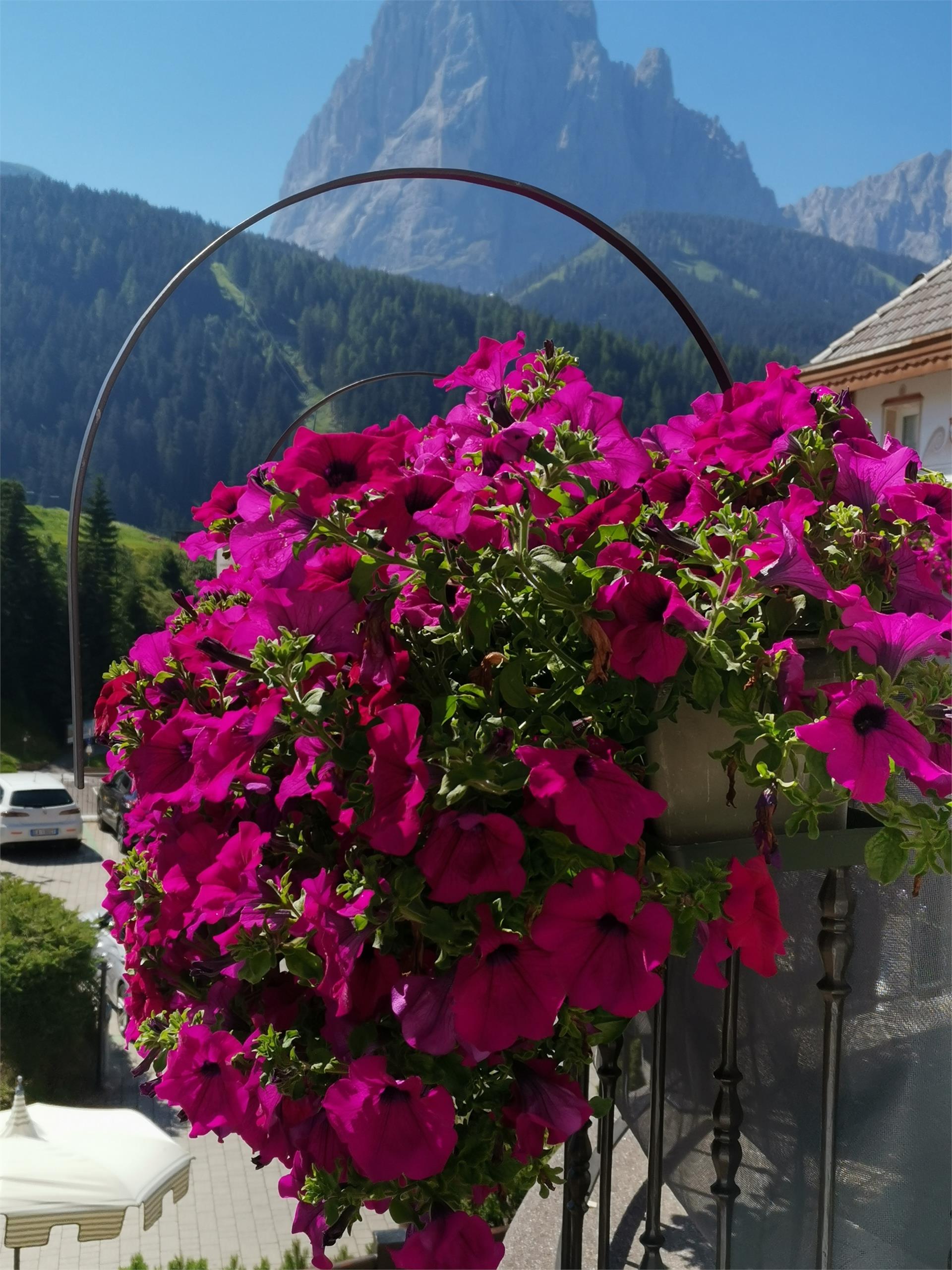 Apartments Cesa Gardis S.Crestina Gherdëina/Santa Cristina Val Gardana 27 suedtirol.info
