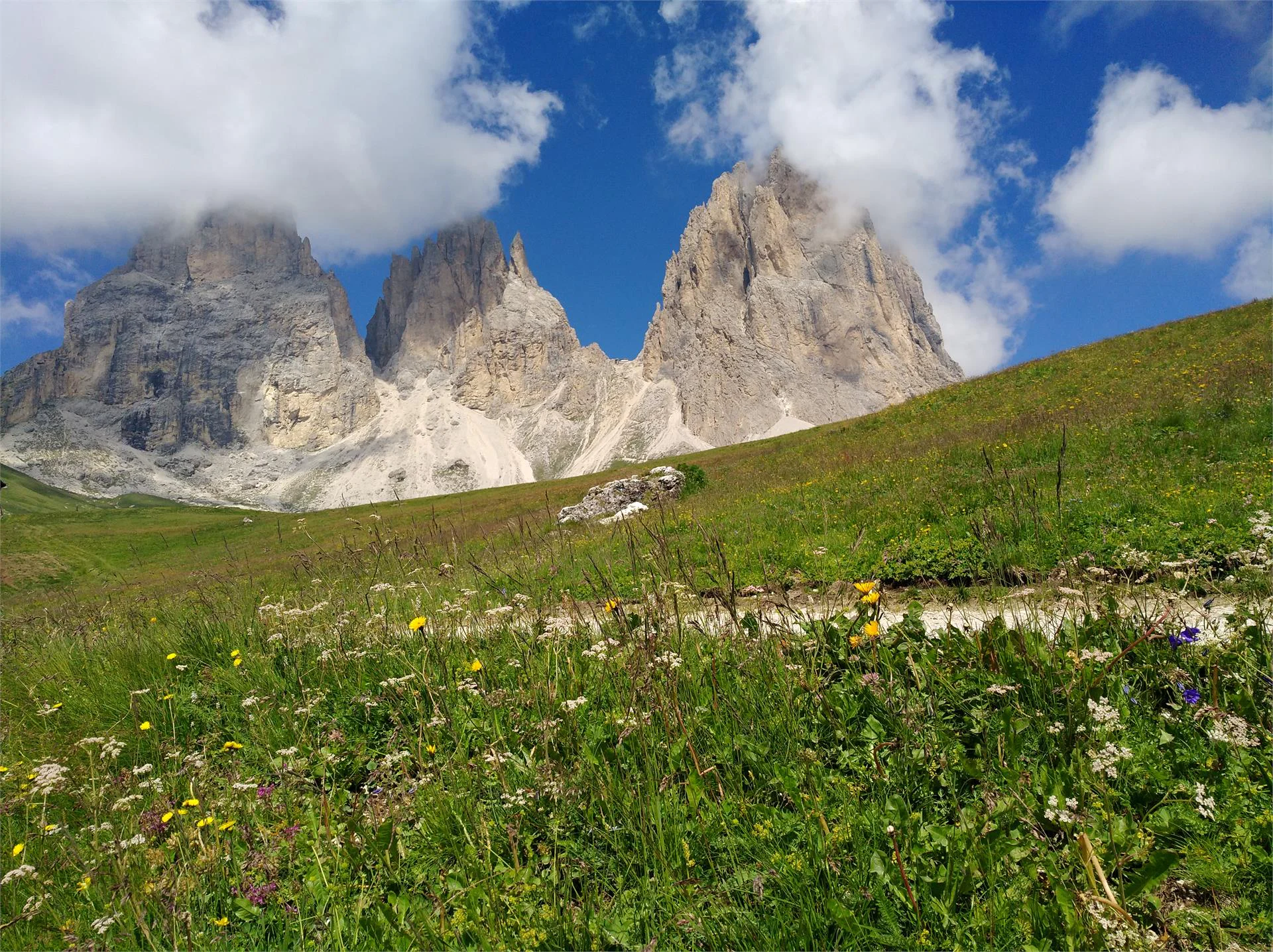 Apartments Cesa Gardis S.Crestina Gherdëina/Santa Cristina Val Gardana 24 suedtirol.info