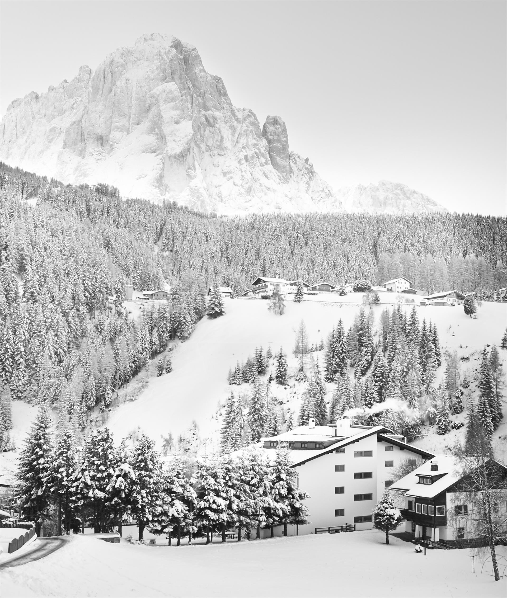 Anterleghes Arthotel Wolkenstein 10 suedtirol.info