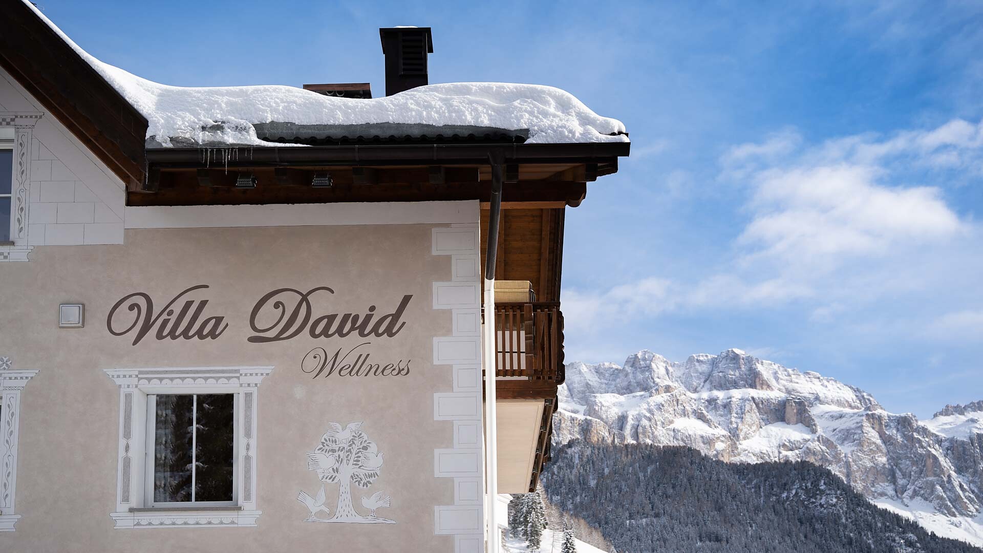 Apartments Villa David Dolomites