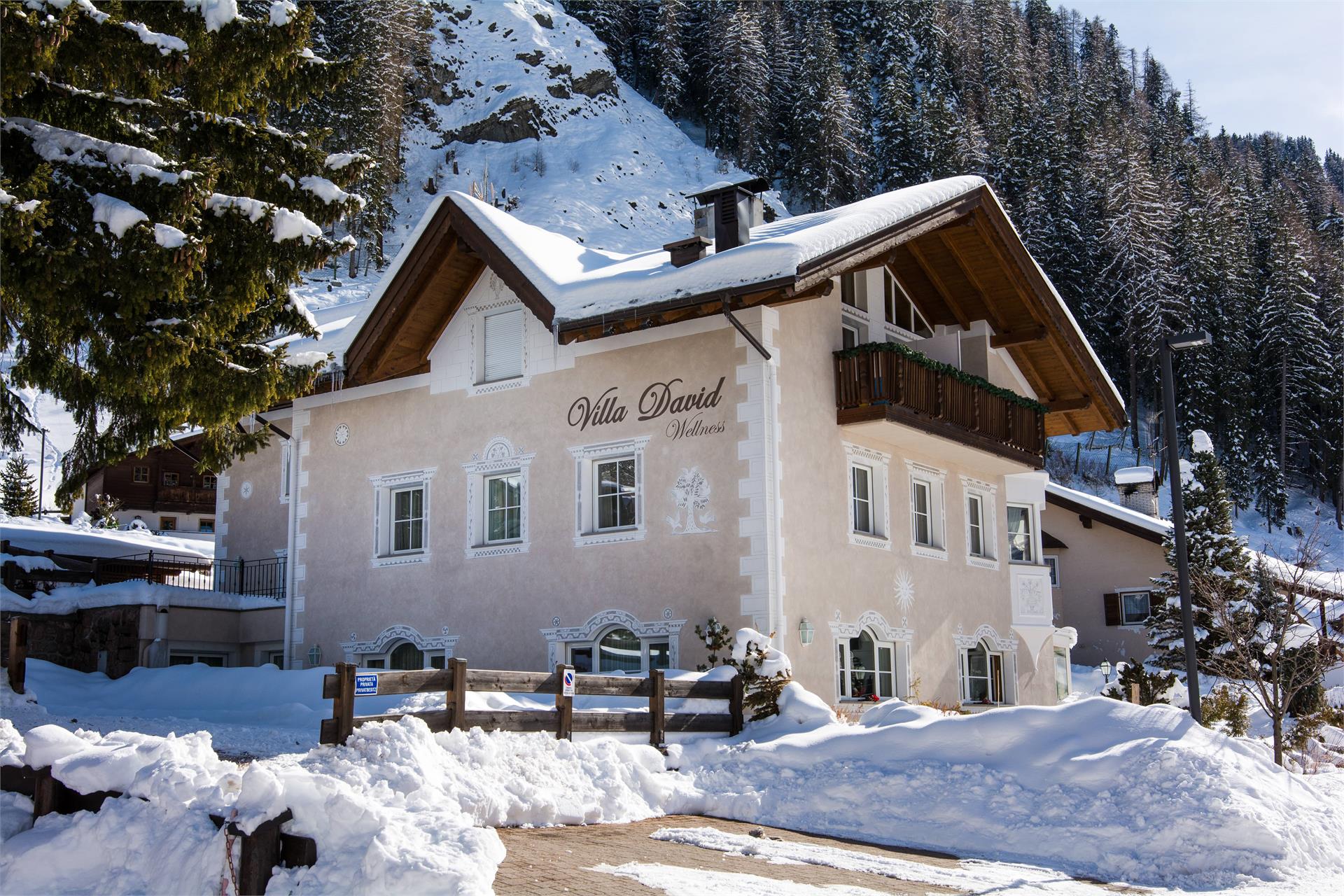 Apartments Villa David Dolomites Selva 12 suedtirol.info
