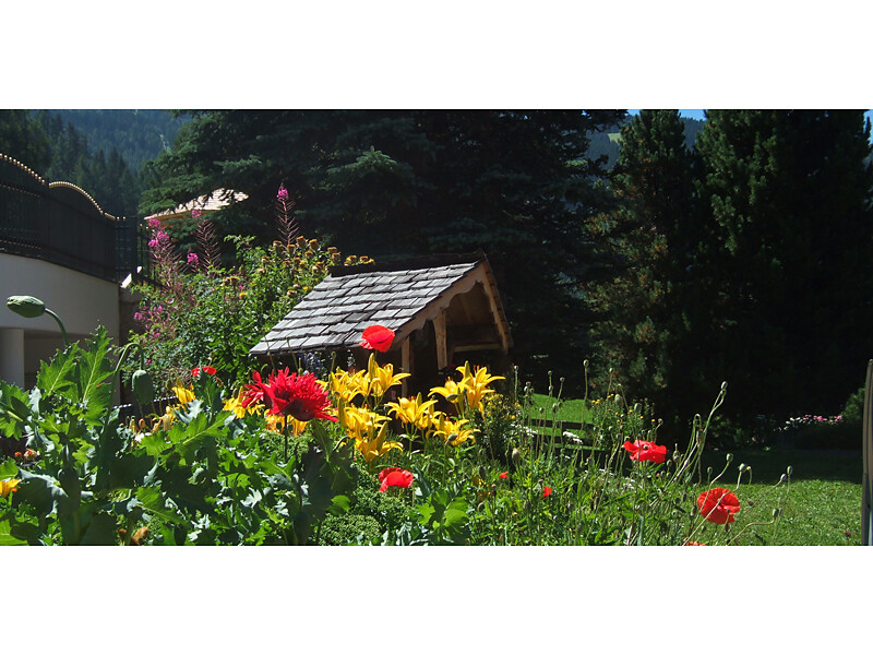 Colourful flowers and wonderful weather ...