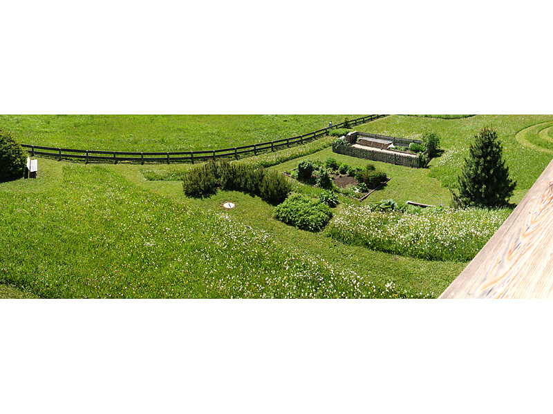 The garden before of the hay harvest in July.